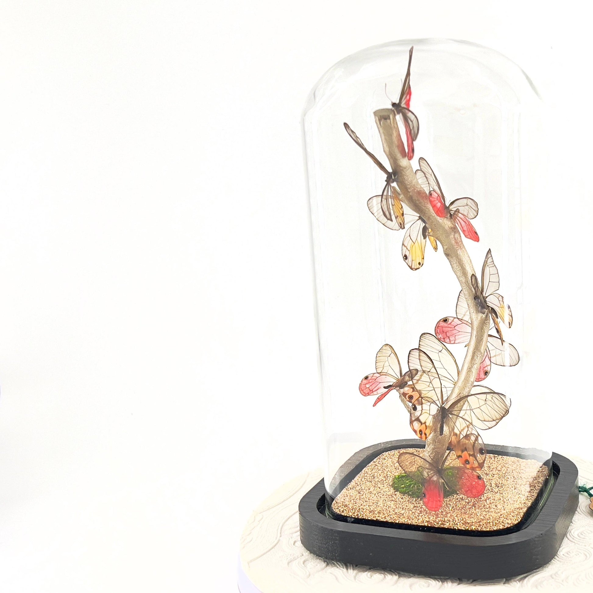Small Centerpiece | Glasswing Butterfly | Pink and Amber Phantom | Flutter by Katie | Sculpture Art | Butterly Display | South America
