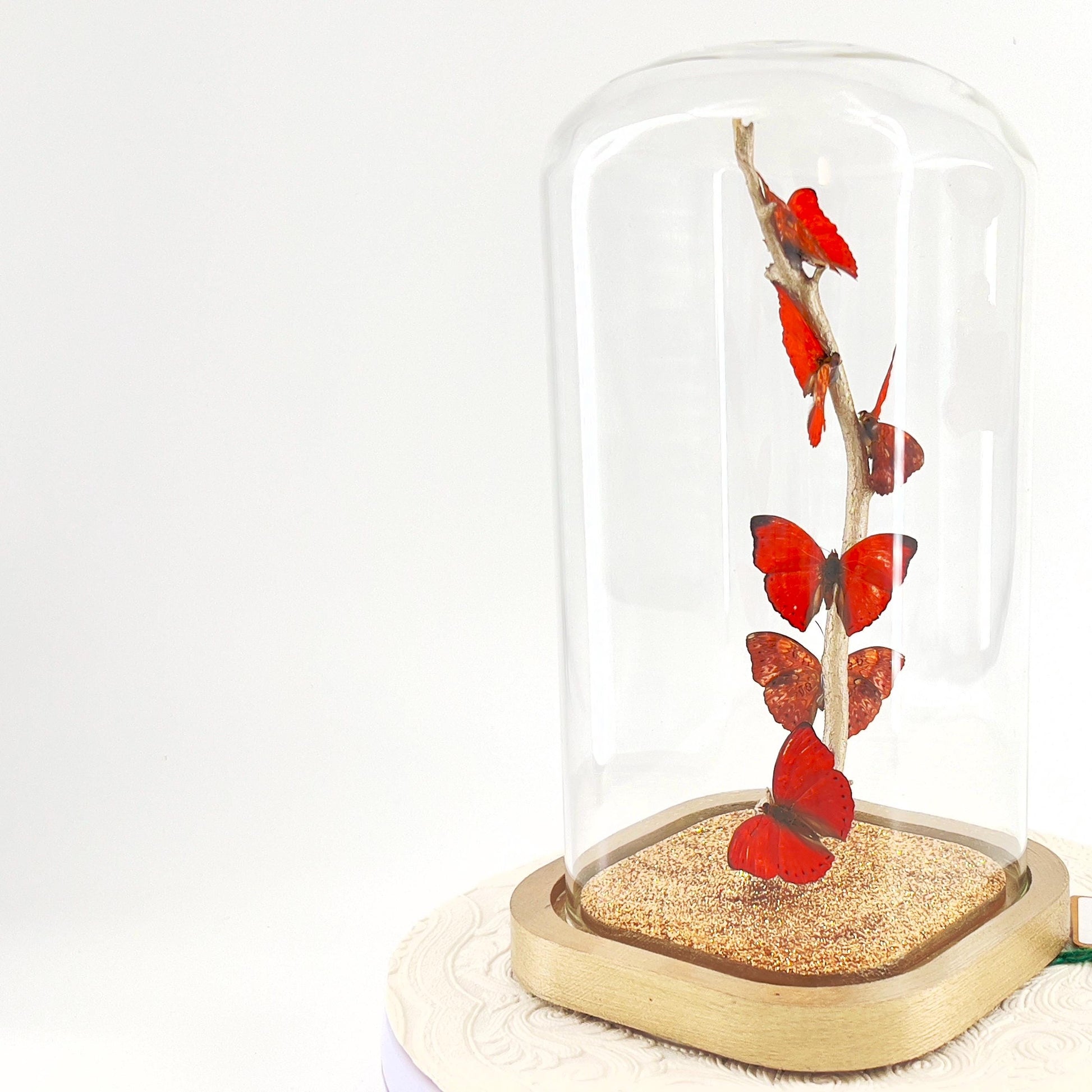 Small Centerpiece | Red Glider Butterfly | Red | Flutter by Katie | Sculpture Art | Butterfly Display | Africa