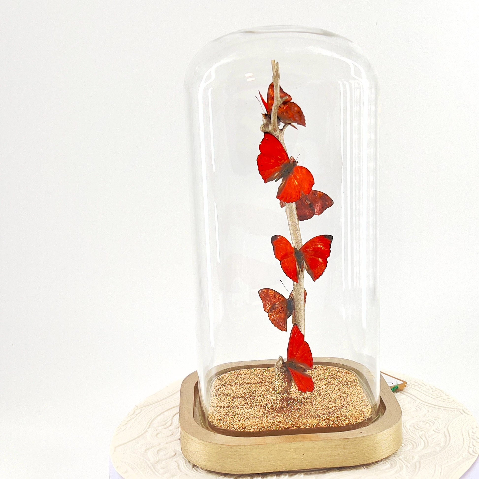Small Centerpiece | Red Glider Butterfly | Red | Flutter by Katie | Sculpture Art | Butterfly Display | Africa