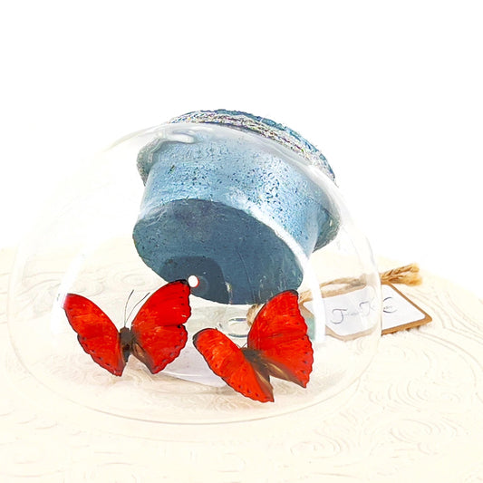 Droplet | Tabletop Wall Hanging | Double Red Glider | Africa | Flutter by Katie | Butterfly Sculpture Art | Butterfly Display | Glass Bubble