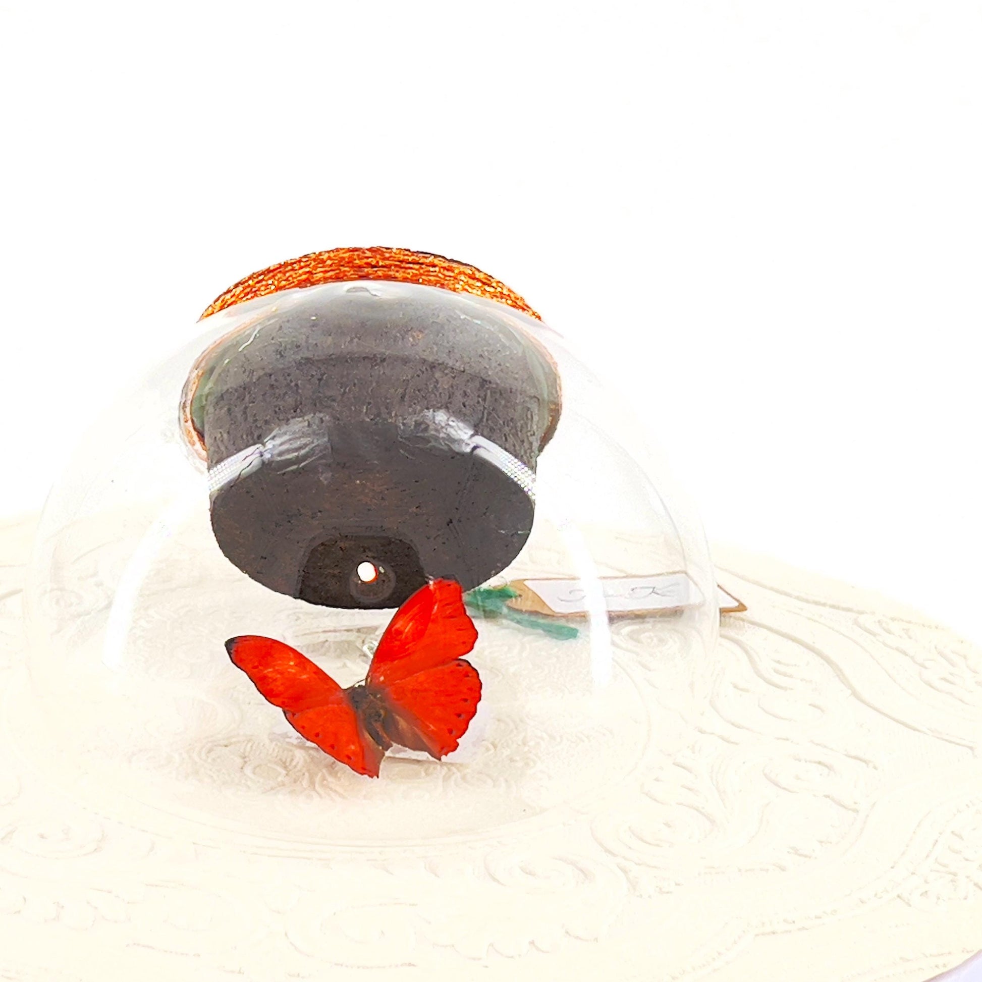 Droplet | Tabletop | Wall Hanging | Red Glider | Africa | Flutter by Katie | Butterfly Sculpture Art | Butterfly Display | Glass Bubble
