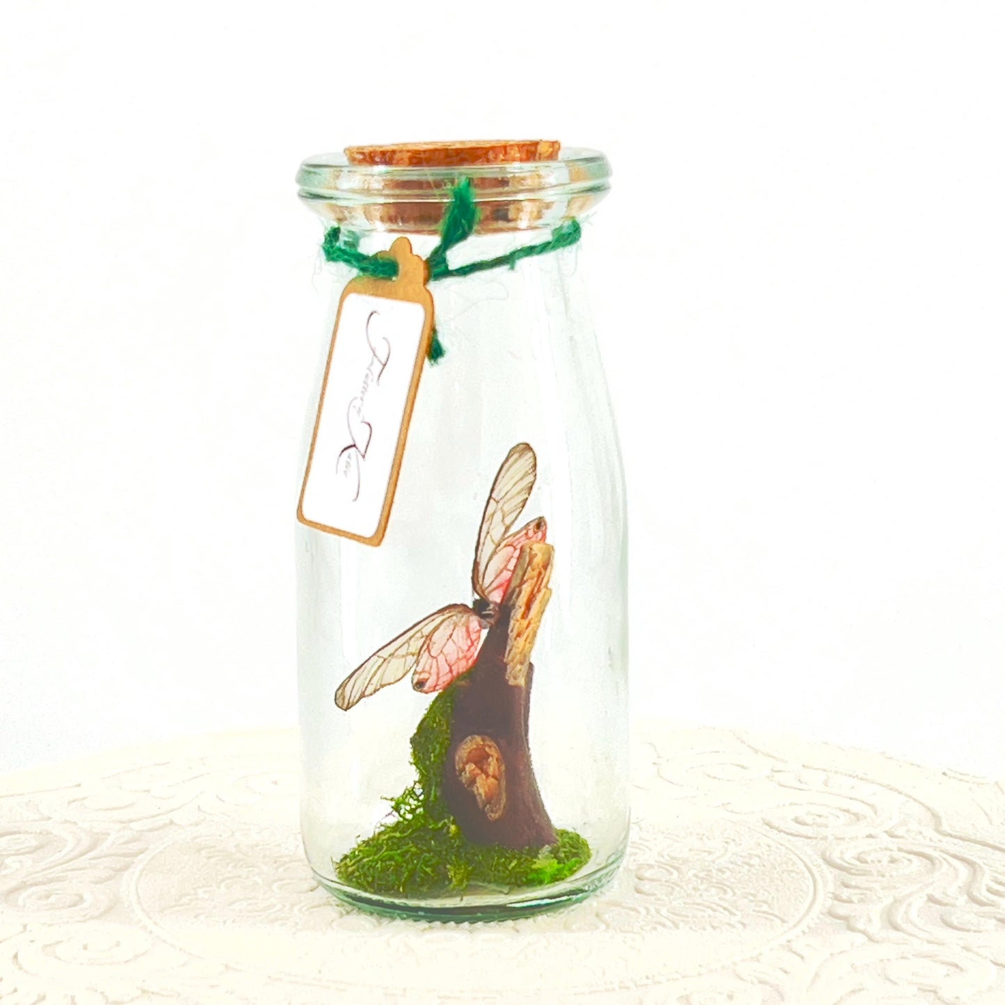 Accent | Centerpiece | Pink Glasswing | Pink | Flutter by Katie | Butterfly Display | Handmade | Real Butterflies | Home Decor South America
