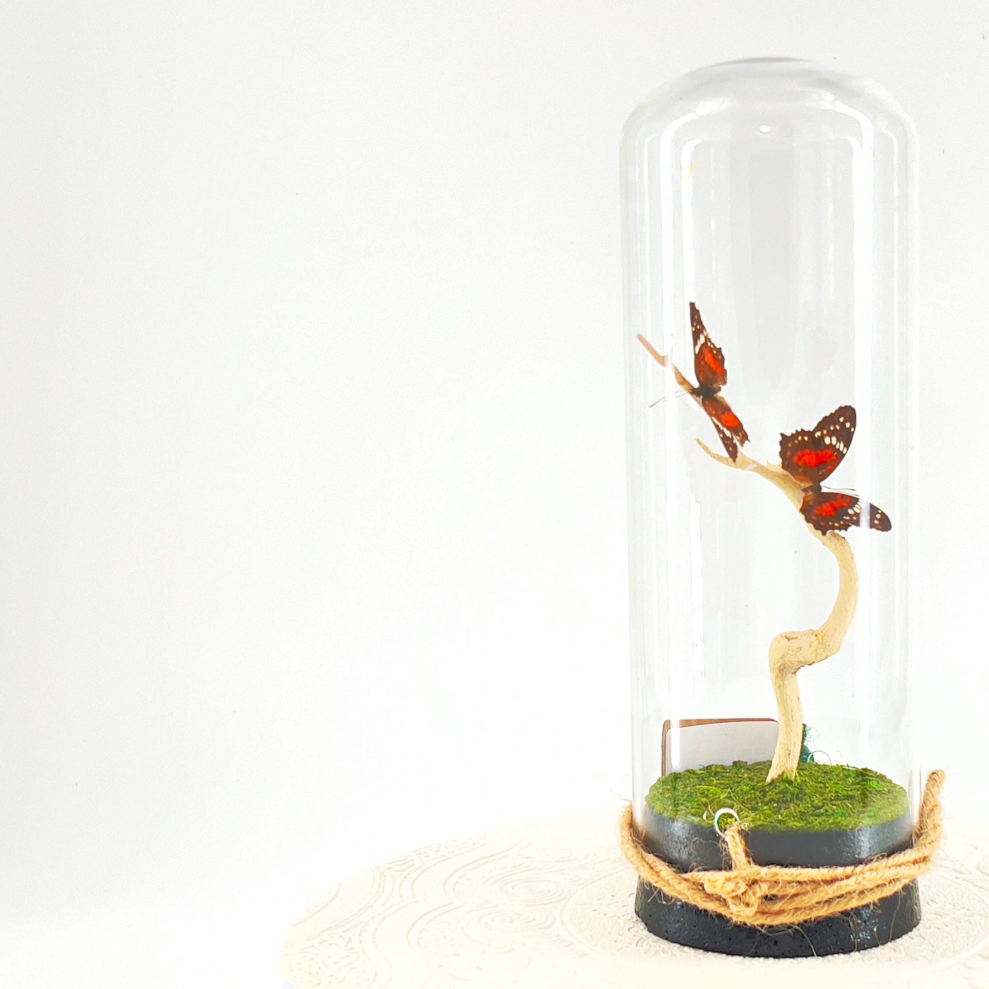 Pendant | Centerpiece | Double Scarlet Peacock | Red Brown | Flutter by Katie | Butterfly Display | Sculpture Art | Handmade | South America