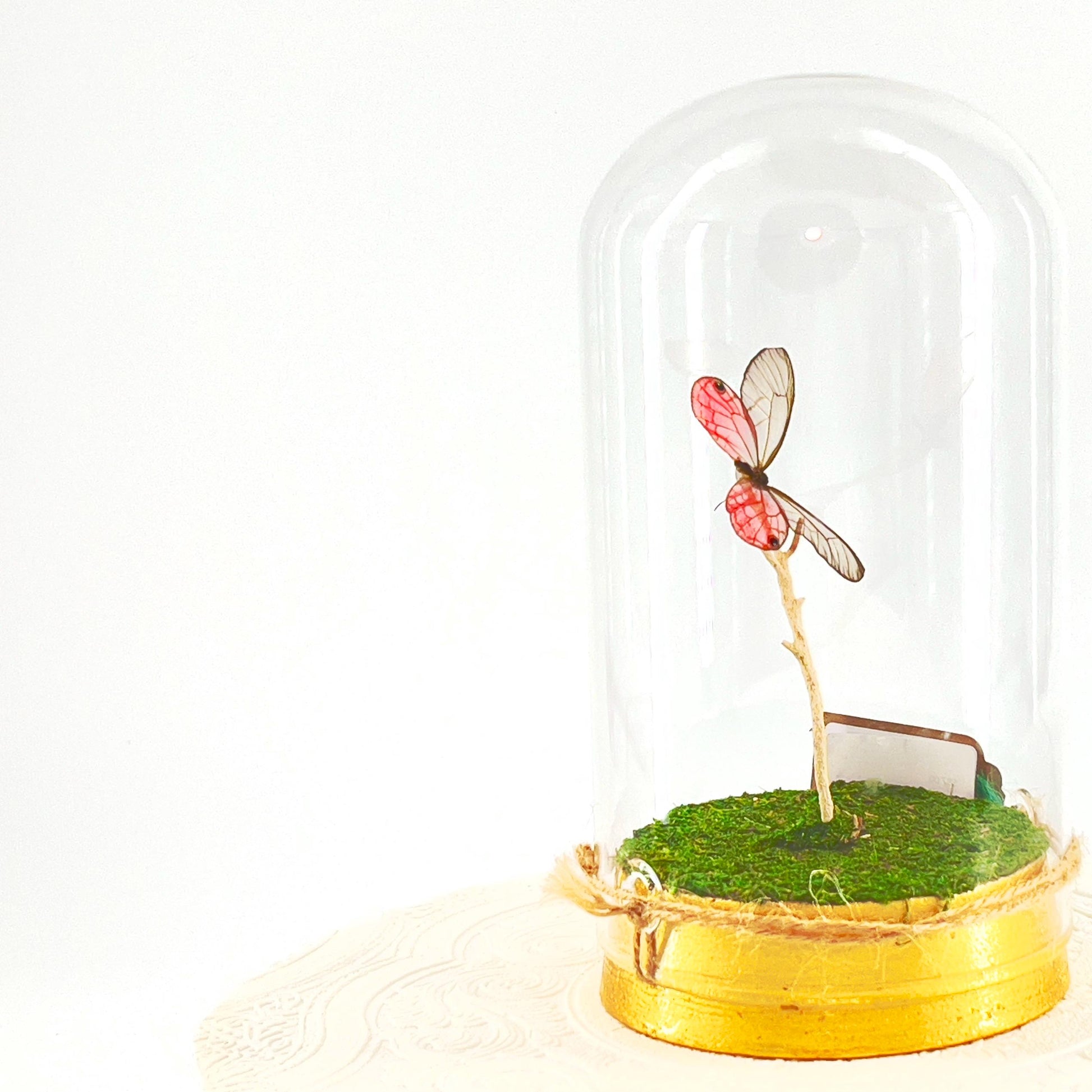 Large Pendant | Pink Glasswing | Flutter by Katie | Translucent | Butterfly Display | Sculpture Art | Pink | Handmade | South America