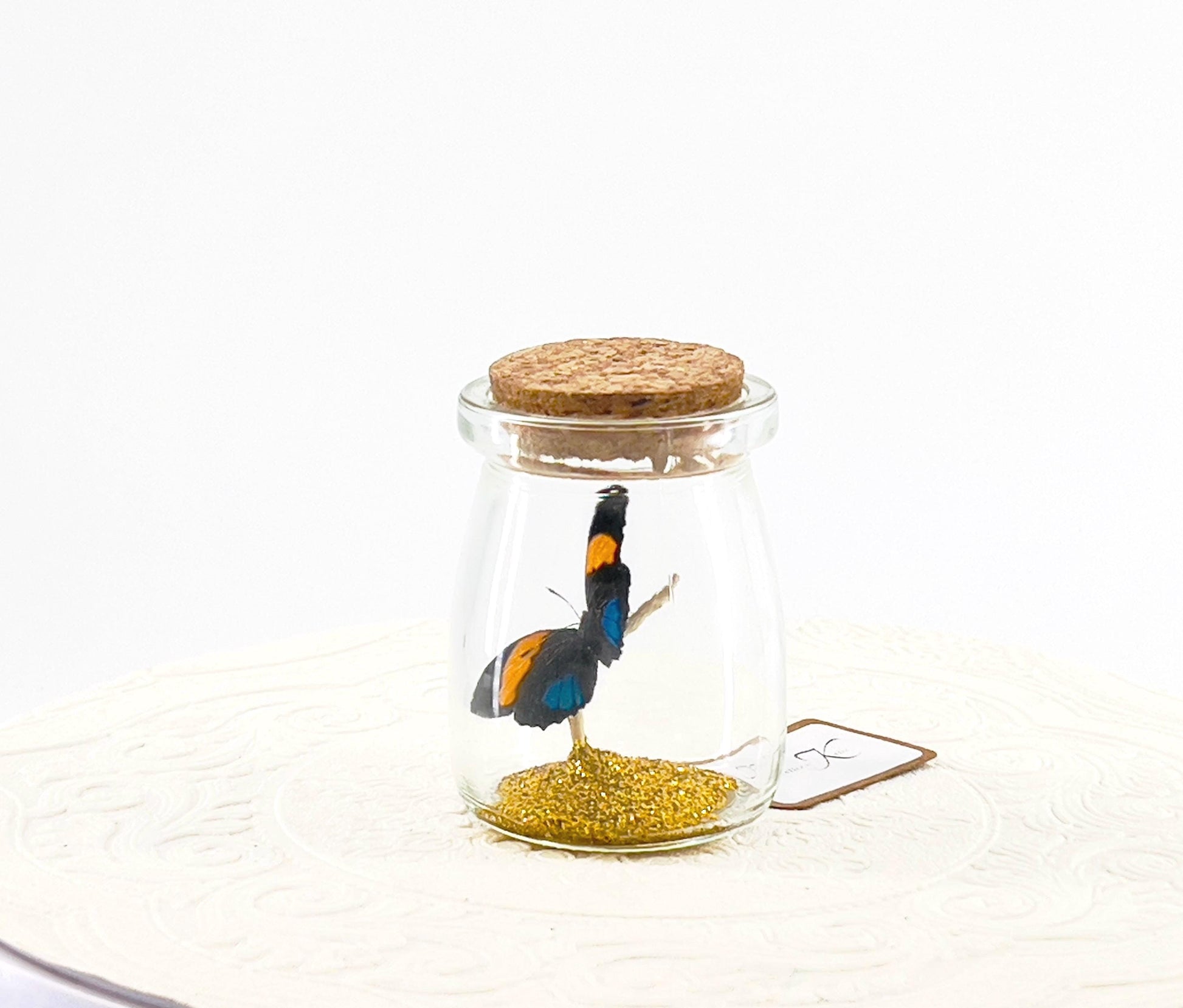 Mini Centerpiece Blue Lights Numberwing | Flutter by Katie | Butterfly Display Real Butterflies Handmade Sculpture Art | Home Decor | Peru