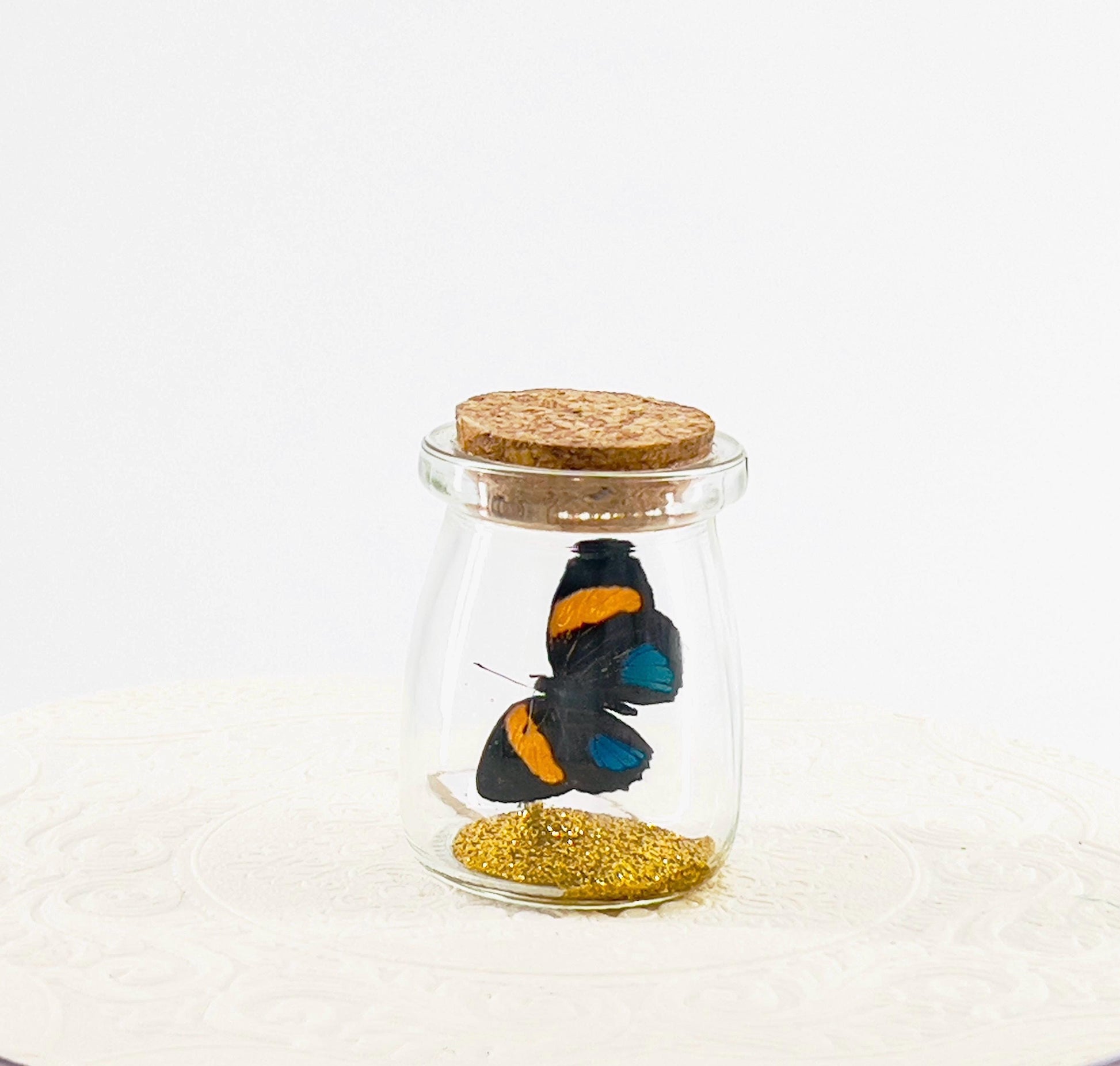 Mini Centerpiece Blue Lights Numberwing | Flutter by Katie | Butterfly Display Real Butterflies Handmade Sculpture Art | Home Decor | Peru
