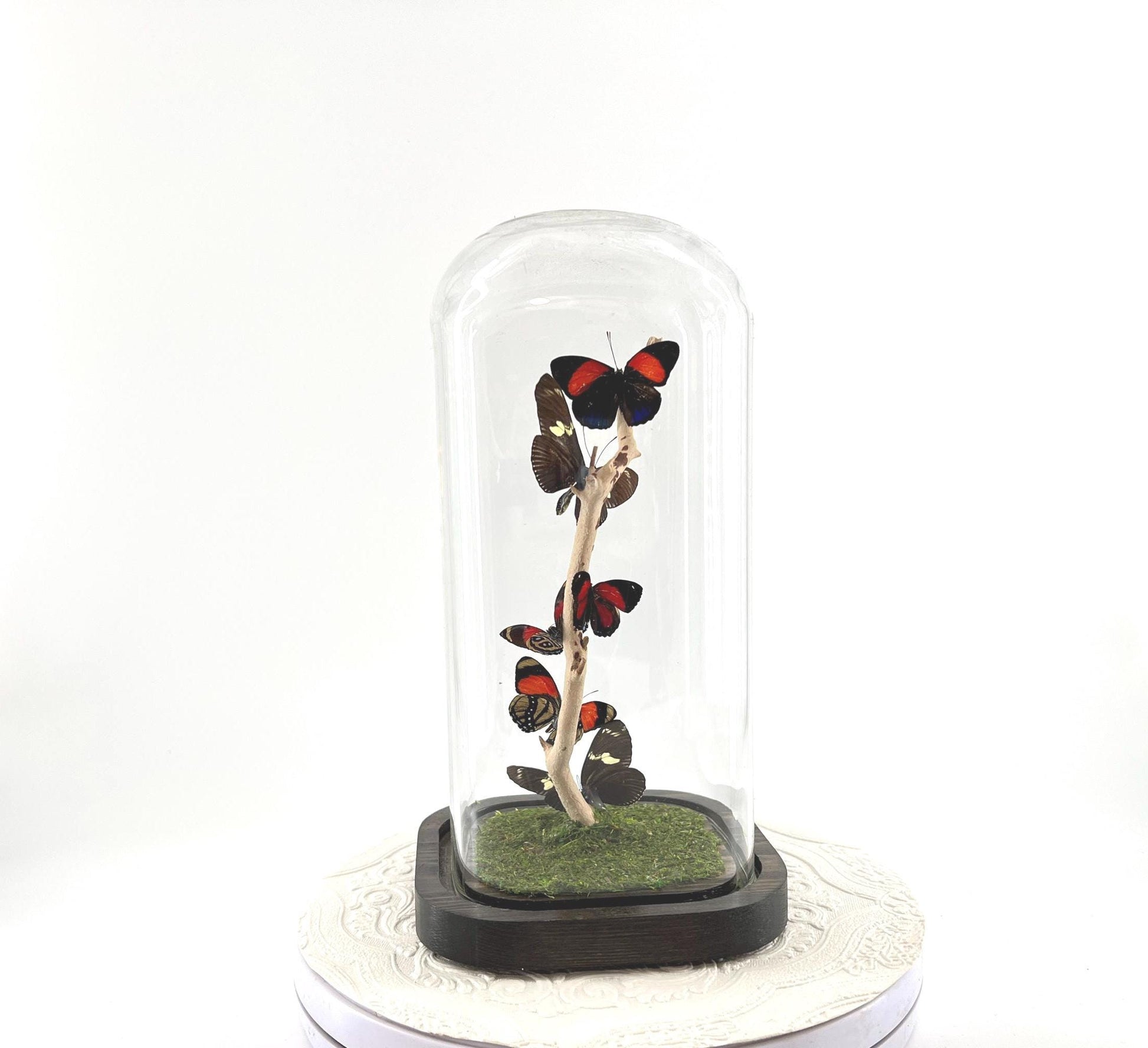 Small Centerpiece | Numberwing | Red Blue Yellow | Flutter by Katie | Handmade Butterfly Sculpture Art | Decor | Central and South America