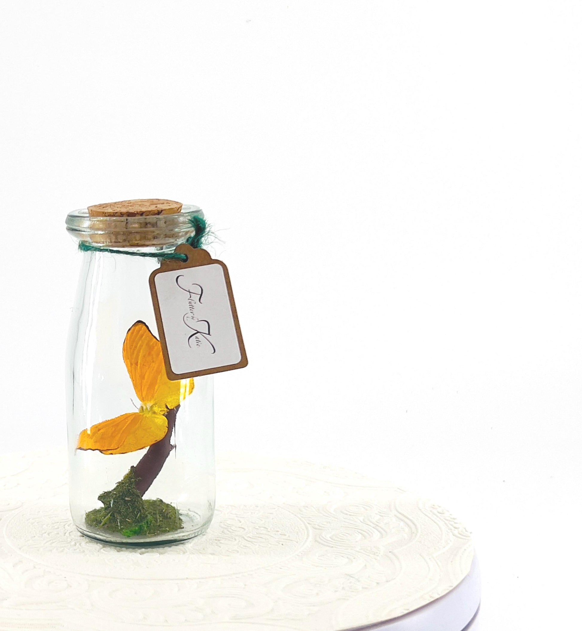 Accent | Centerpiece | Apricot Sulphur | Yellow | Flutter by Katie | Butterflyt Display | Handmade | Real Butterflies | Decor| South America