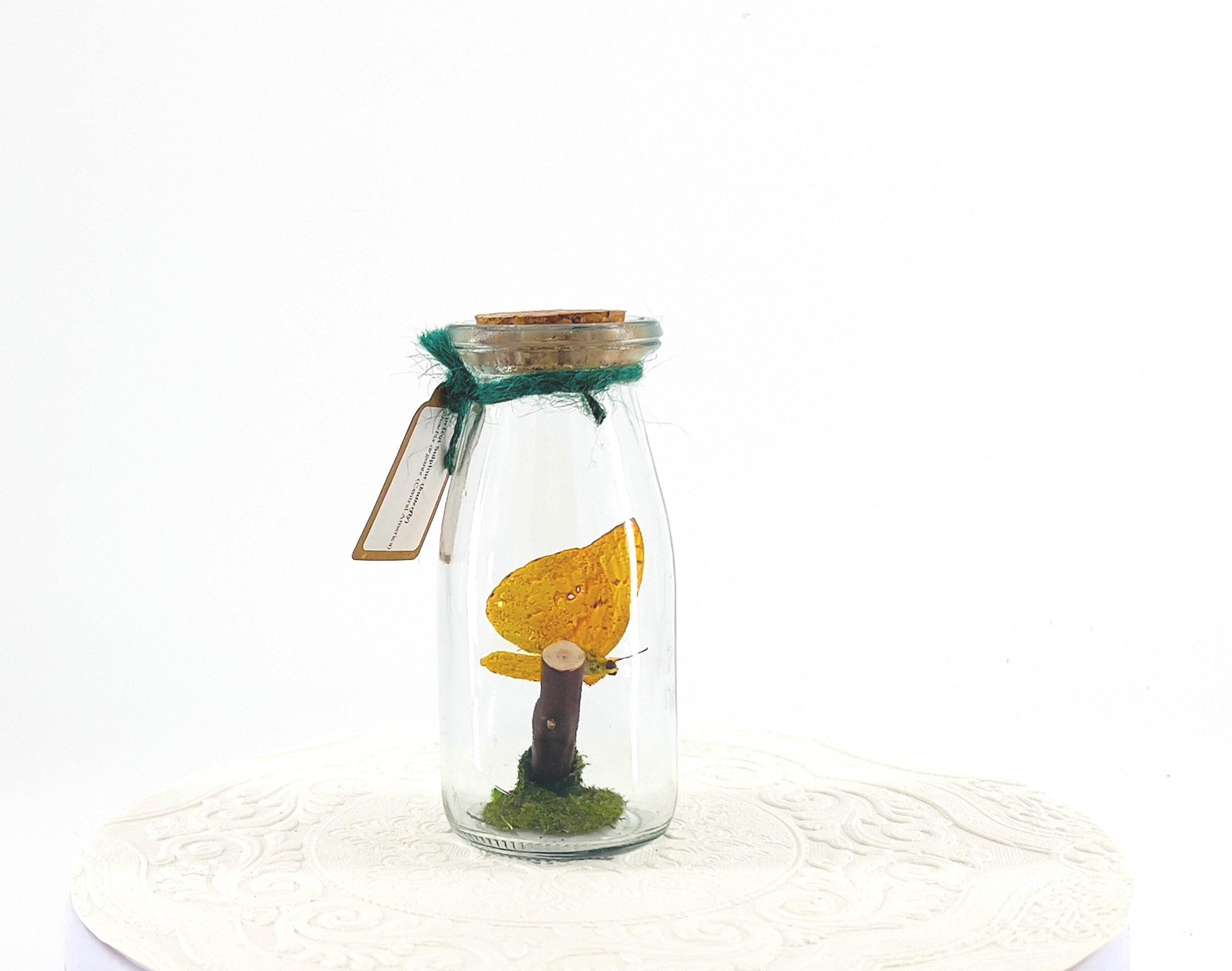 Accent | Centerpiece | Apricot Sulphur | Yellow | Flutter by Katie | Butterflyt Display | Handmade | Real Butterflies | Decor| South America