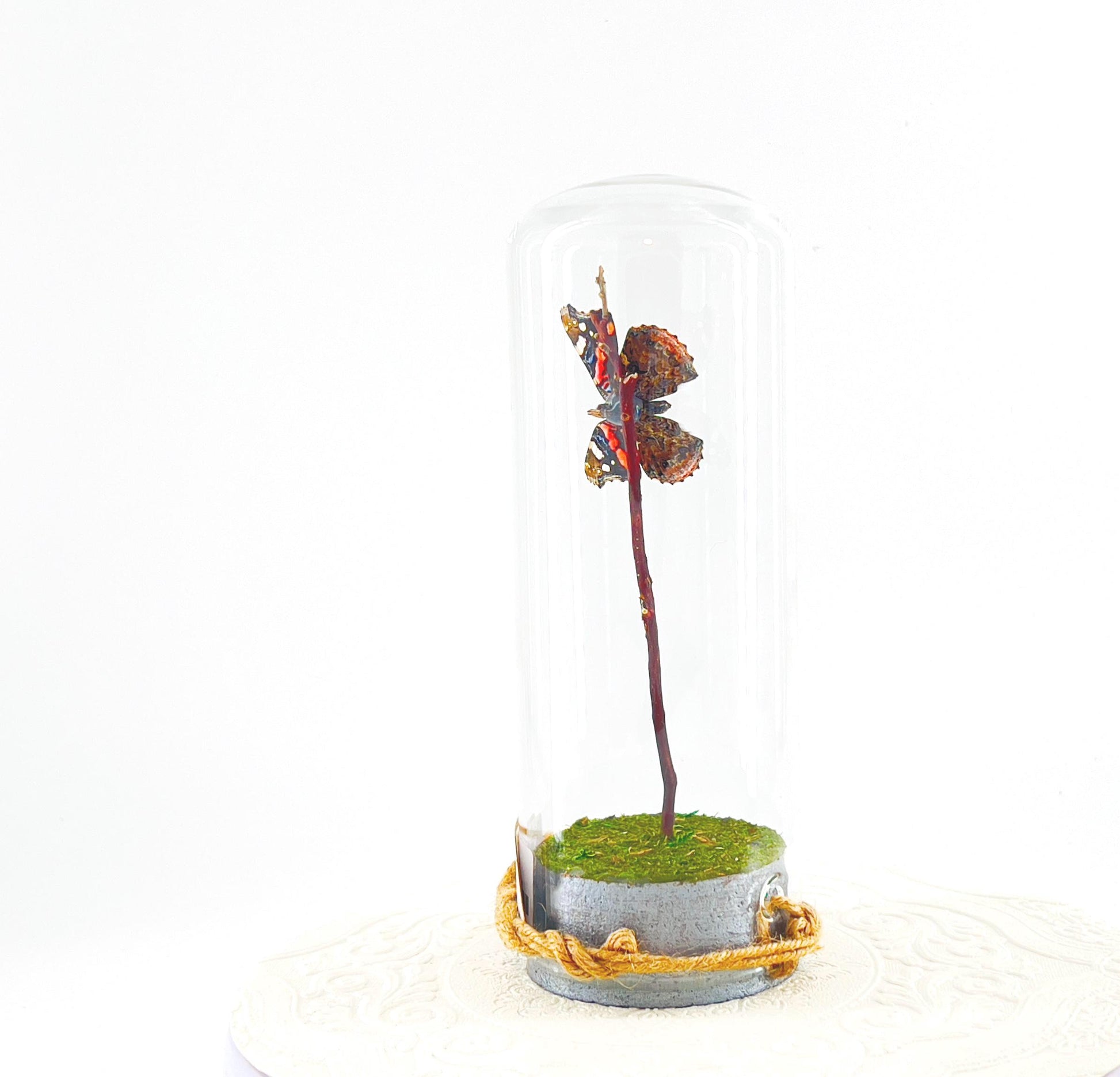 Pendant | Centerpiece | Red Admiral | Orange Black | Flutter by Katie | Butterfly Display | Sculpture Art | Handmade | Home Decor | NY USA