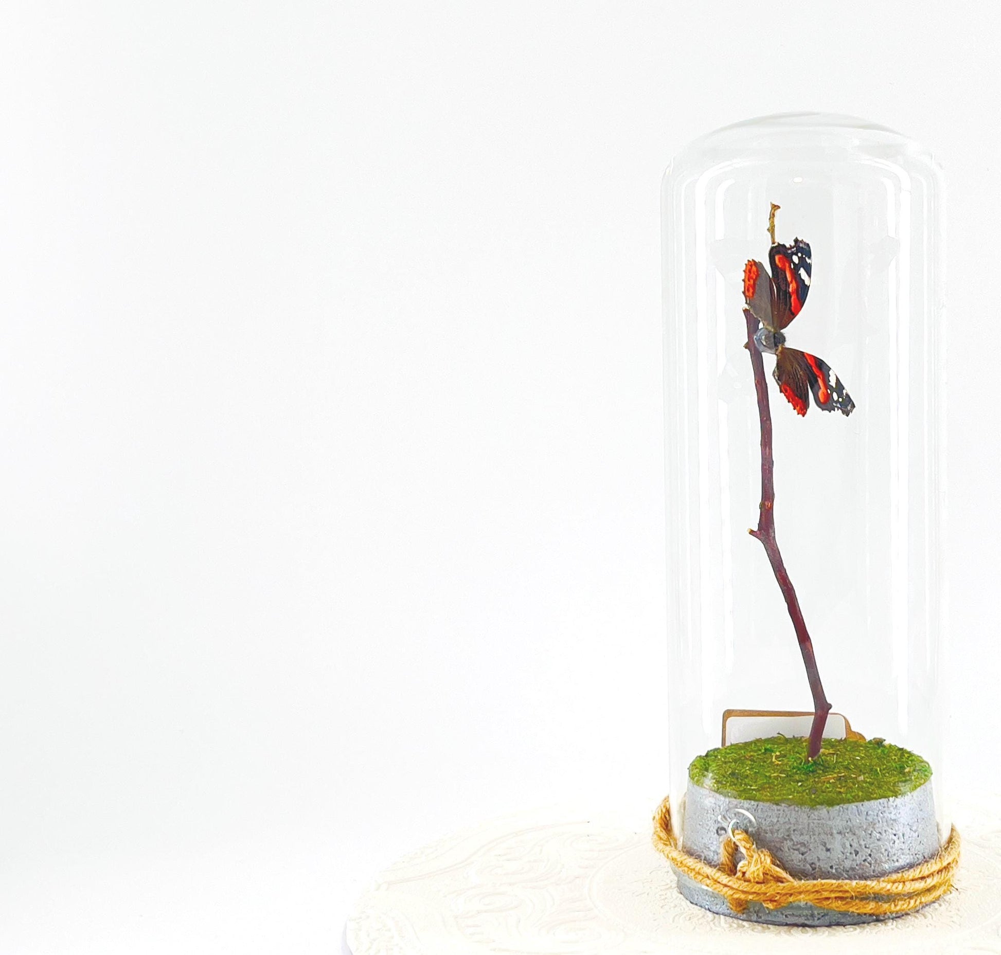 Pendant | Centerpiece | Red Admiral | Orange Black | Flutter by Katie | Butterfly Display | Sculpture Art | Handmade | Home Decor | NY USA