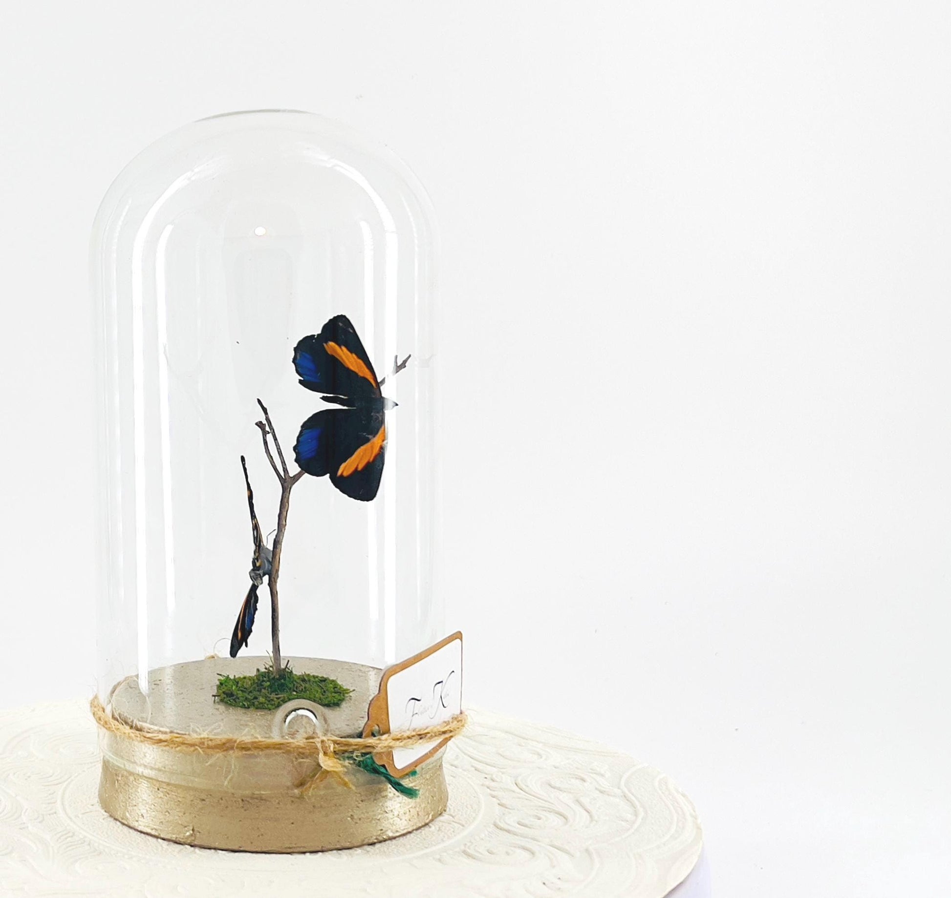 Large Pendant | Double Blue Lights | Blue Yellow | Flutter by Katie | Butterfly Sculpture Art | Handmade | Home Decor | Peru South America
