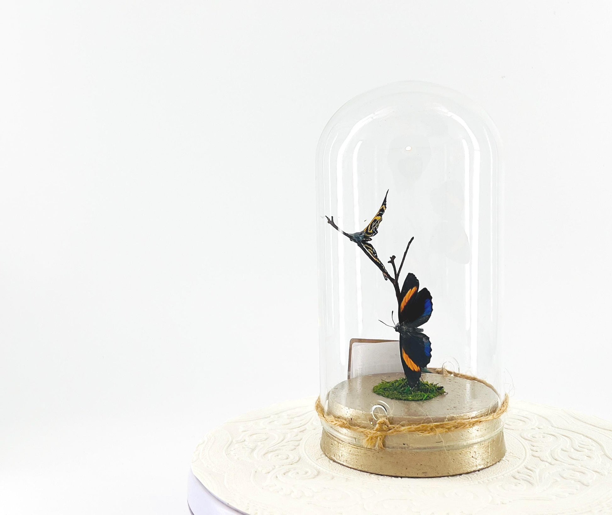 Large Pendant | Double Blue Lights | Blue Yellow | Flutter by Katie | Butterfly Sculpture Art | Handmade | Home Decor | Peru South America