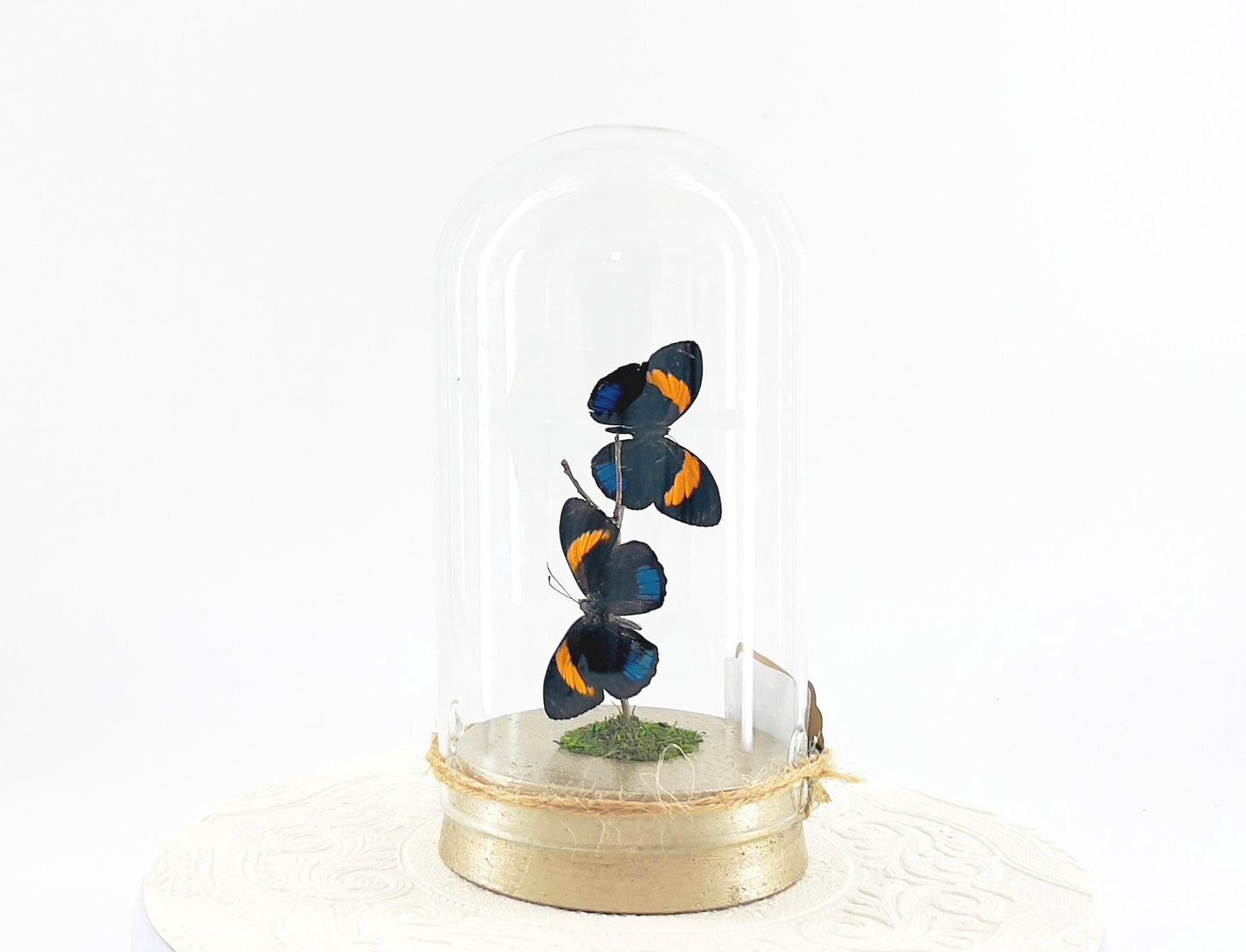 Large Pendant | Double Blue Lights | Blue Yellow | Flutter by Katie | Butterfly Sculpture Art | Handmade | Home Decor | Peru South America