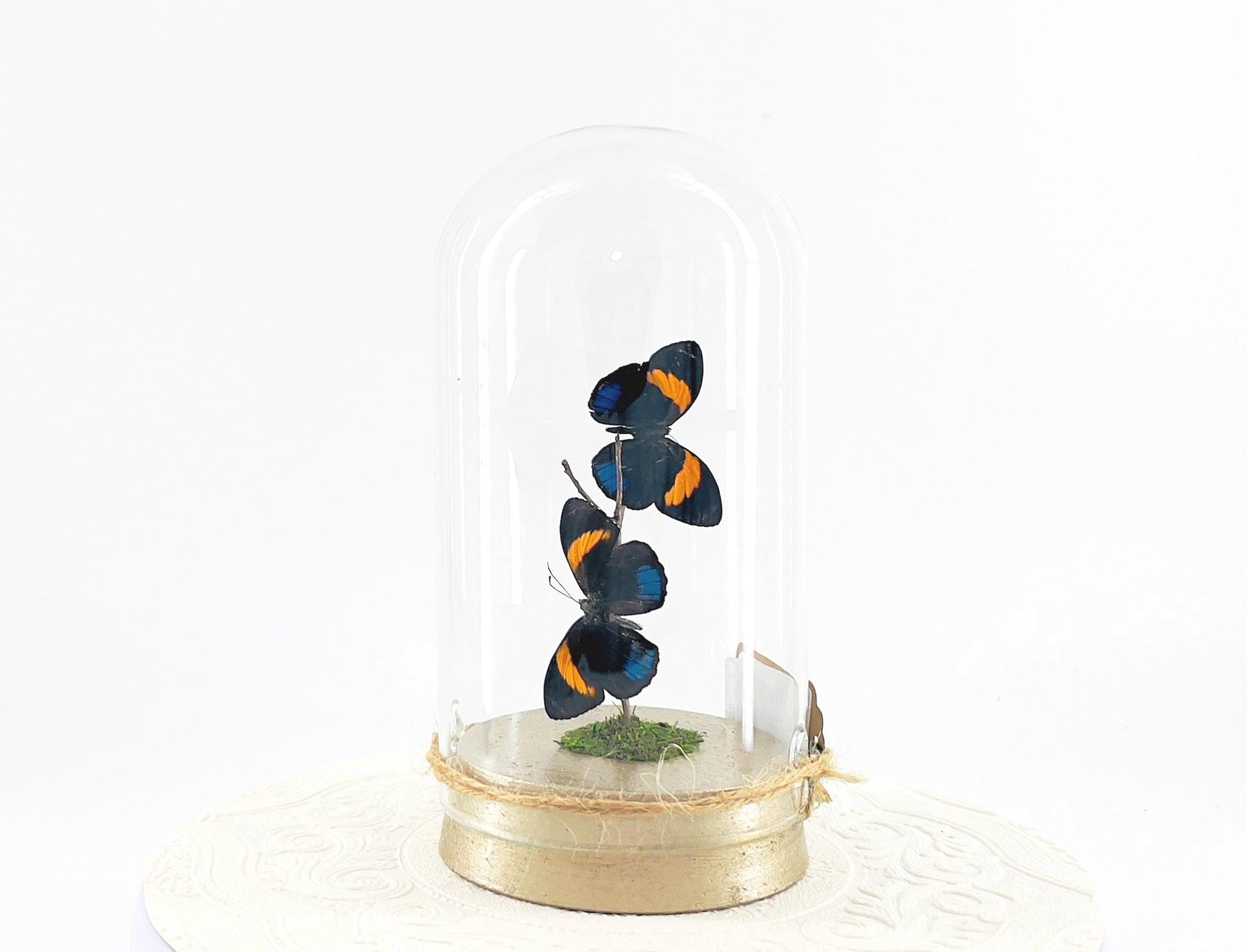 Large Pendant | Double Blue Lights | Blue Yellow | Flutter by Katie | Butterfly Sculpture Art | Handmade | Home Decor | Peru South America