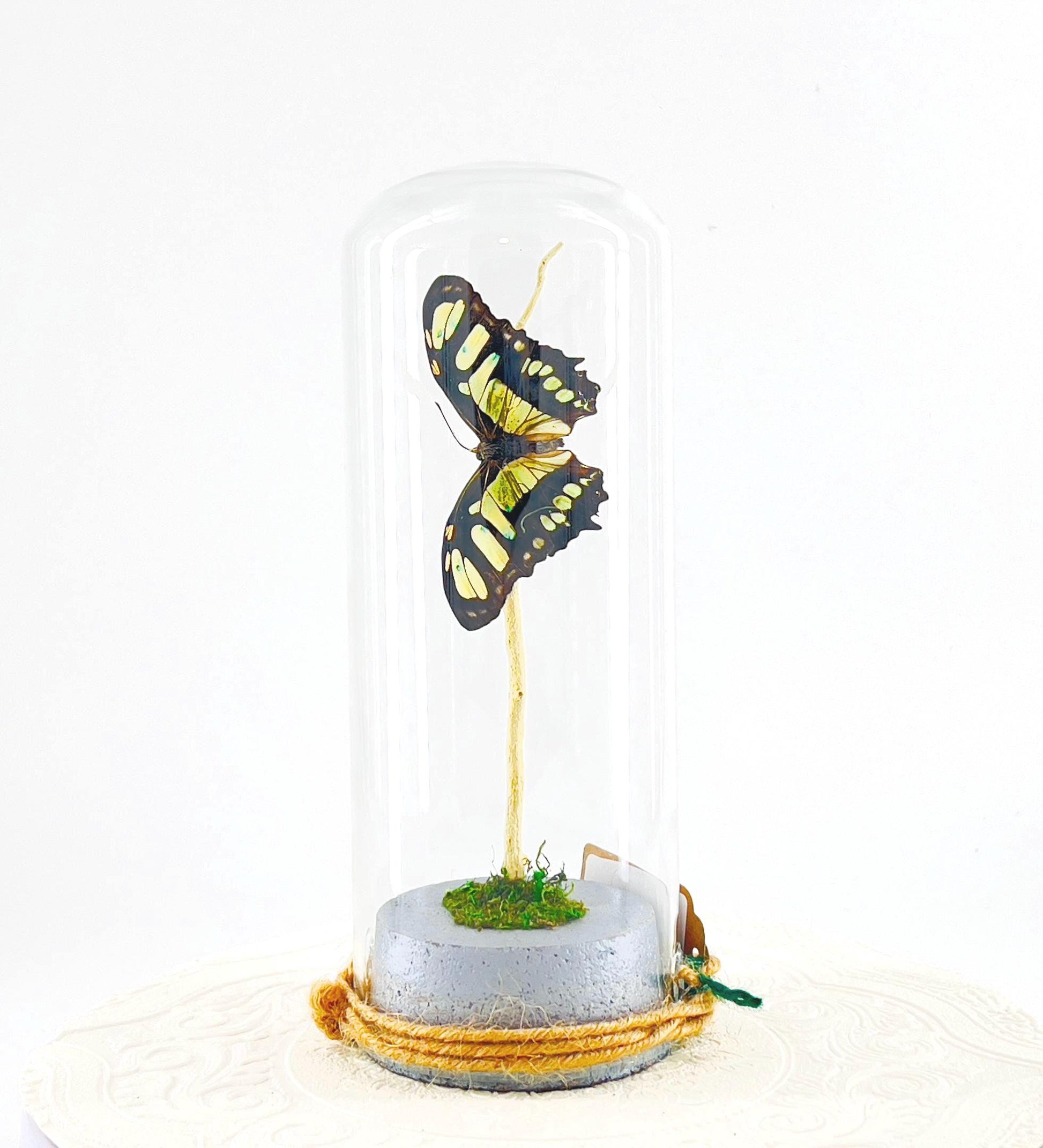 Pendant | Centerpiece | Malachite | Green Black | Flutter by Katie | Butterfly Display | Sculpture Art | Handmade | Home Decor | Peru