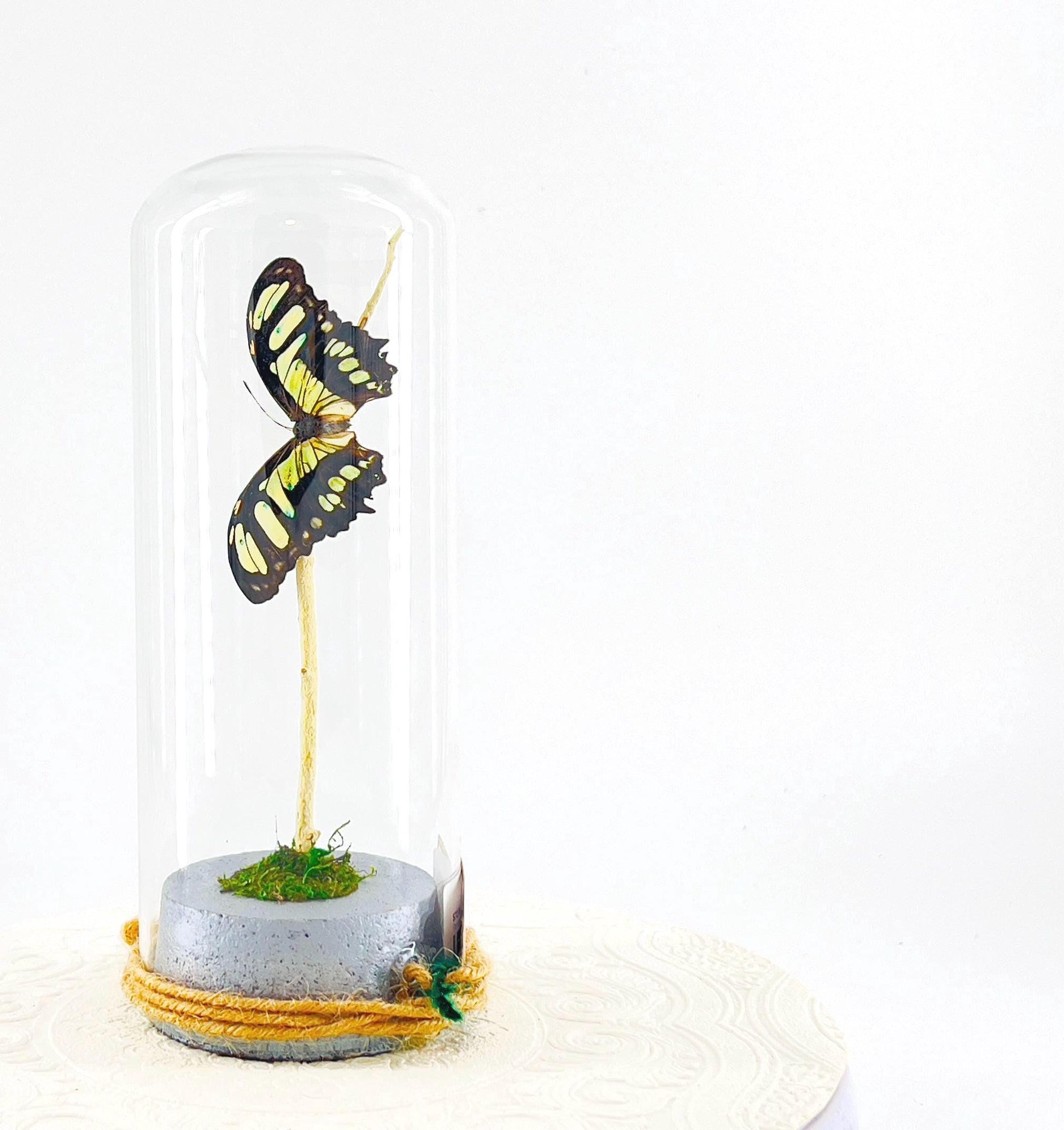 Pendant | Centerpiece | Malachite | Green Black | Flutter by Katie | Butterfly Display | Sculpture Art | Handmade | Home Decor | Peru
