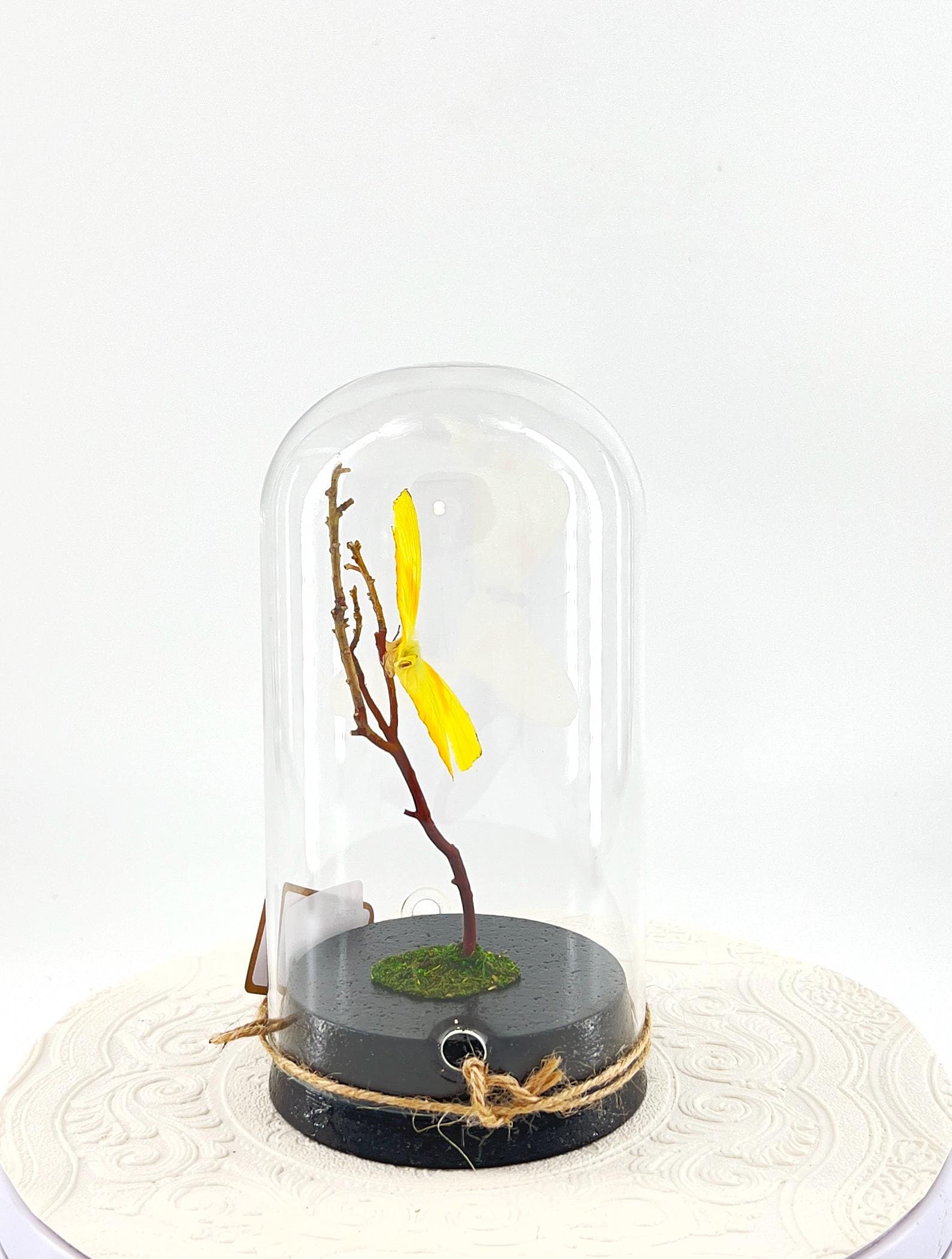 Large Pendant | Orange-barred Sulphur | Yellow | Flutter by Katie | Handmade Butterfly Sculpture Art | Home Decor | North America