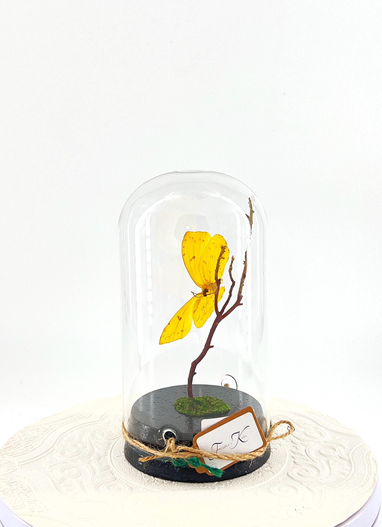 Large Pendant | Orange-barred Sulphur | Yellow | Flutter by Katie | Handmade Butterfly Sculpture Art | Home Decor | North America