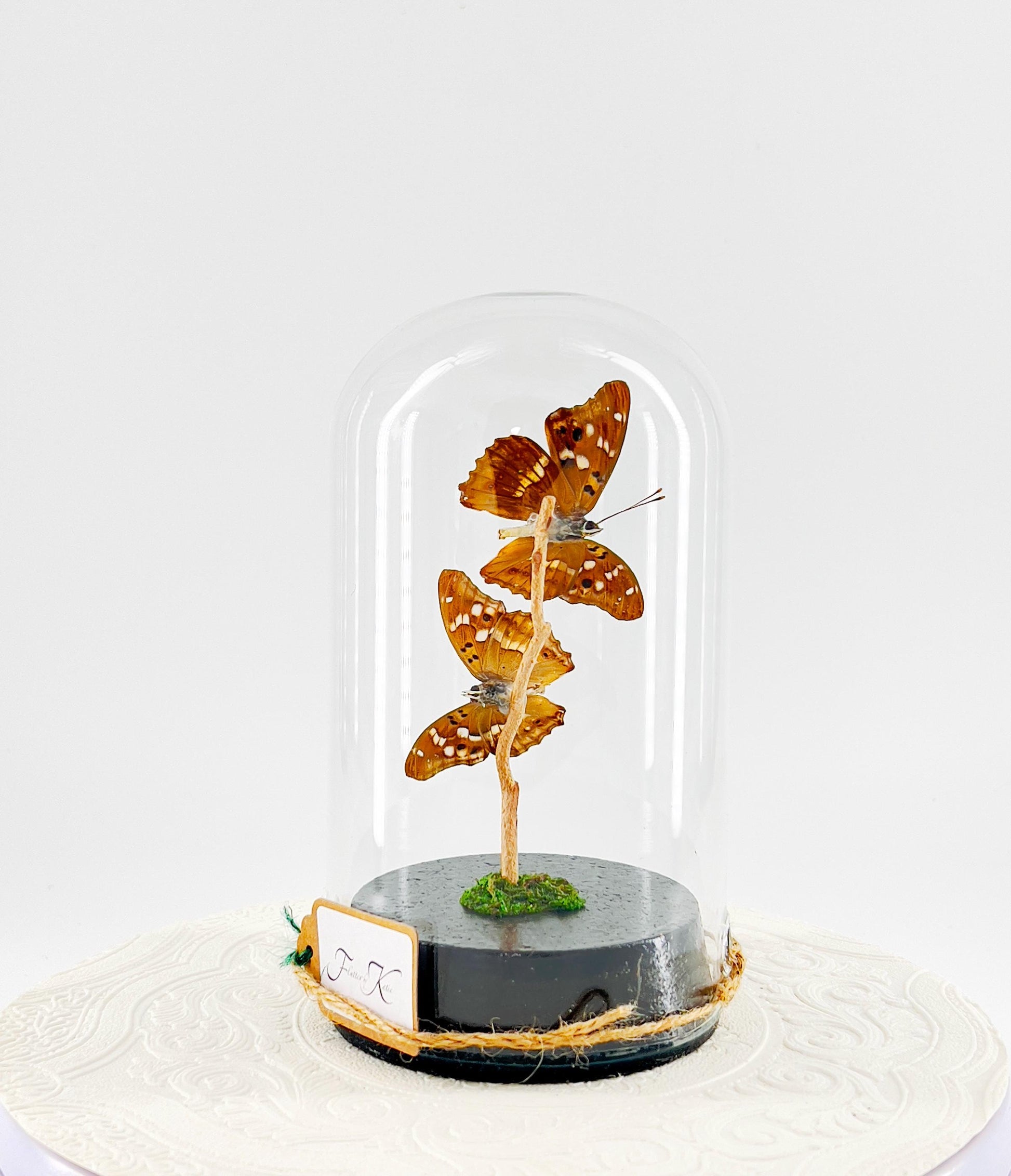Large Pendant | Lesser Purple Emperor | Purple Brown Iridescence | Flutter by Katie | Handmade Butterfly Sculpture Art | Home Decor | China
