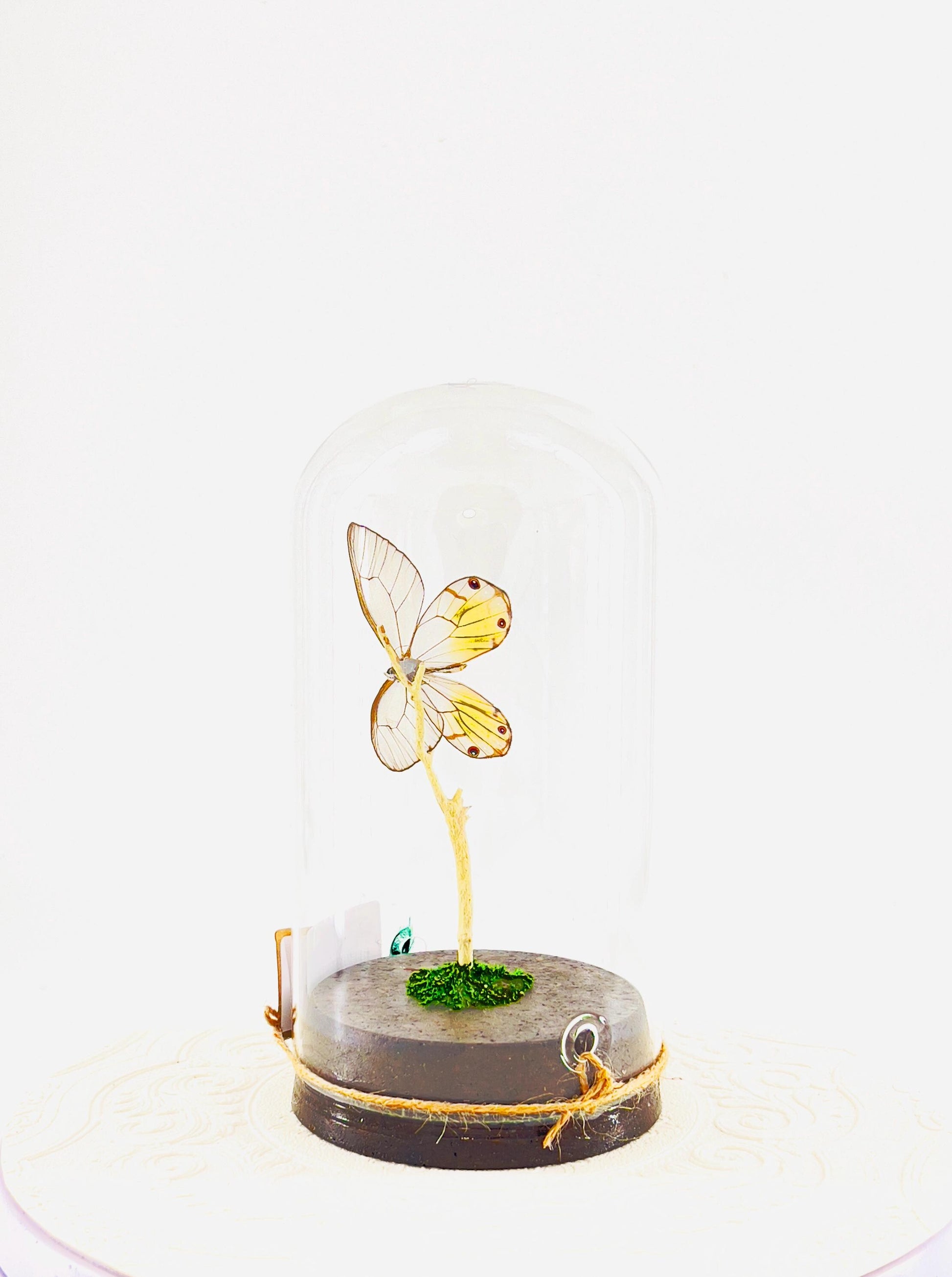 Large Pendant | Amber Phantom | Glasswing | Transparent | Flutter by Katie | Handmade Butterfly Sculpture Art | Home Decor | Peru