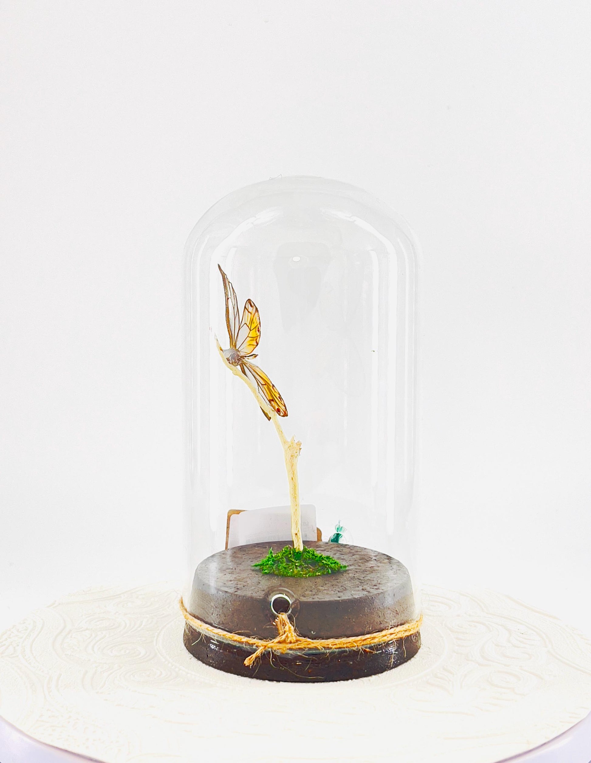 Large Pendant | Amber Phantom | Glasswing | Transparent | Flutter by Katie | Handmade Butterfly Sculpture Art | Home Decor | Peru