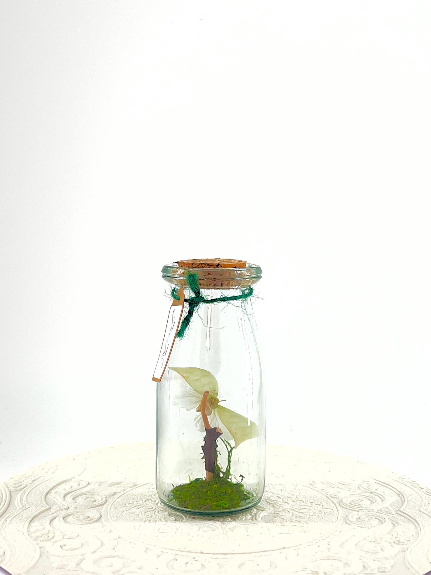 Accent | Centerpiece | Maliau Planthopper | Green White | Flutter by Katie | Handmade Sculpture Art | Real Specimens | Home Decor | Asia