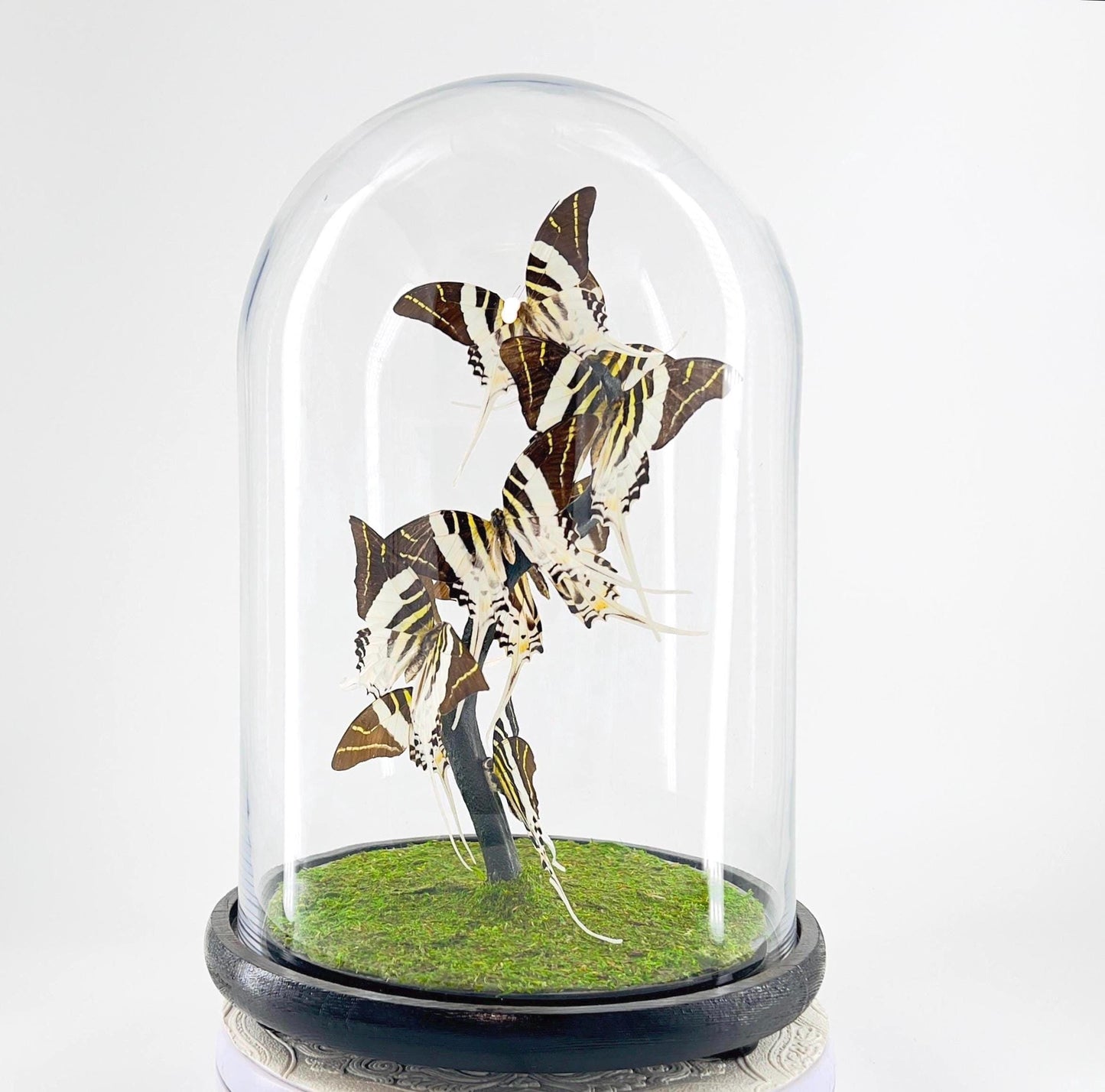 Large Centerpiece | Giant Swordtail| Black White Stripes | Flutter by Katie | Sculpture Art | Handmade Butterfly Sculpture Art | Indonesia