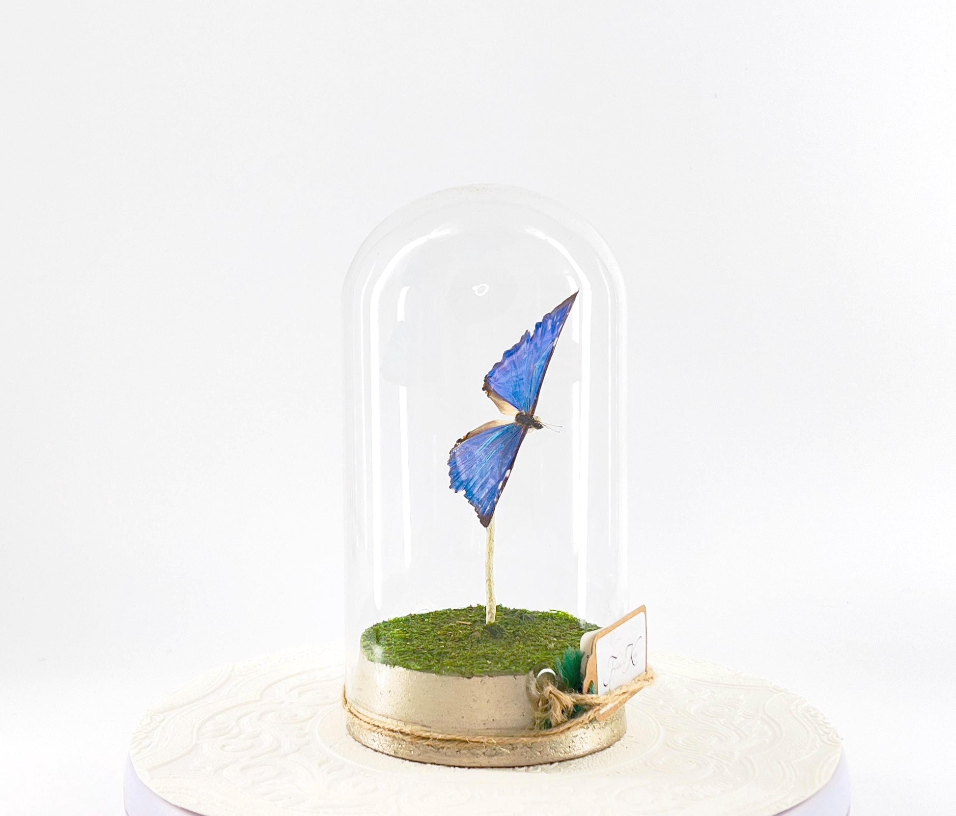 Large Pendant | Zephyritis Morpho | Blue | Flutter by Katie | Butterfly Sculpture Art | Handmade | Butterfly Display Home Decor | Bolivia