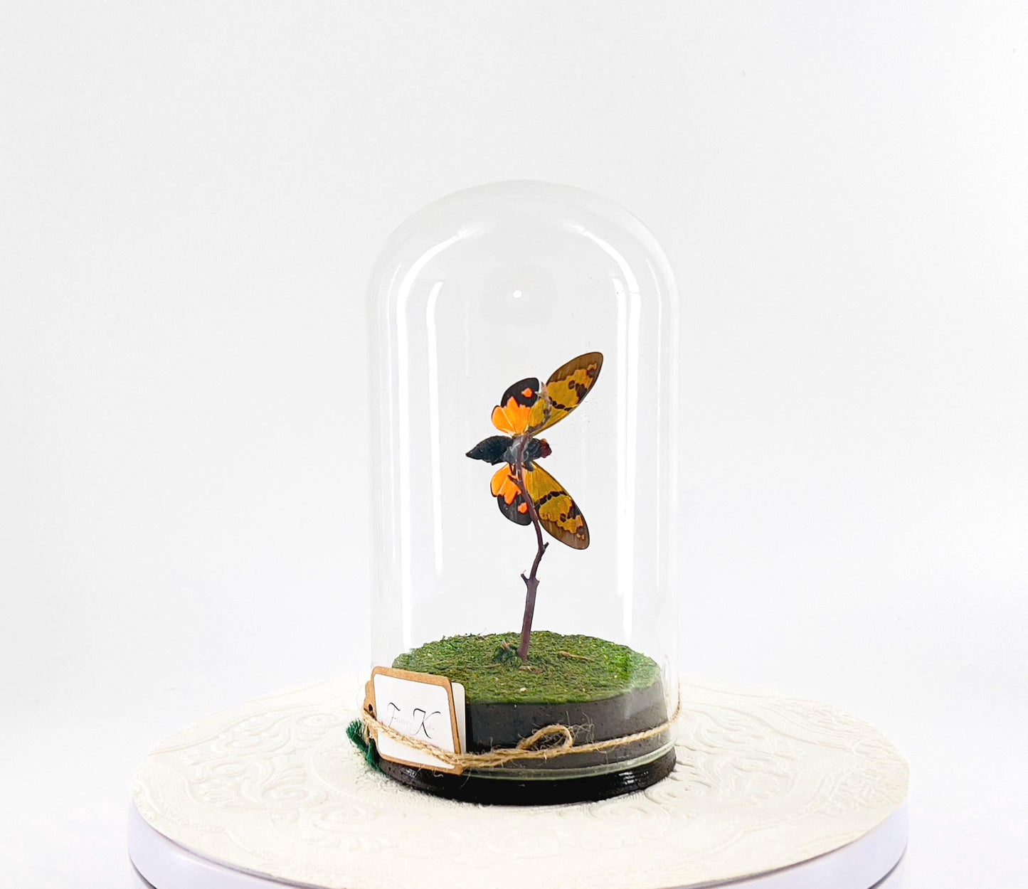 Large Pendant | Orange Cicada | Flutter by Katie | Butterfly Sculpture Art | Handmade | Butterfly Display Home Decor | Laos