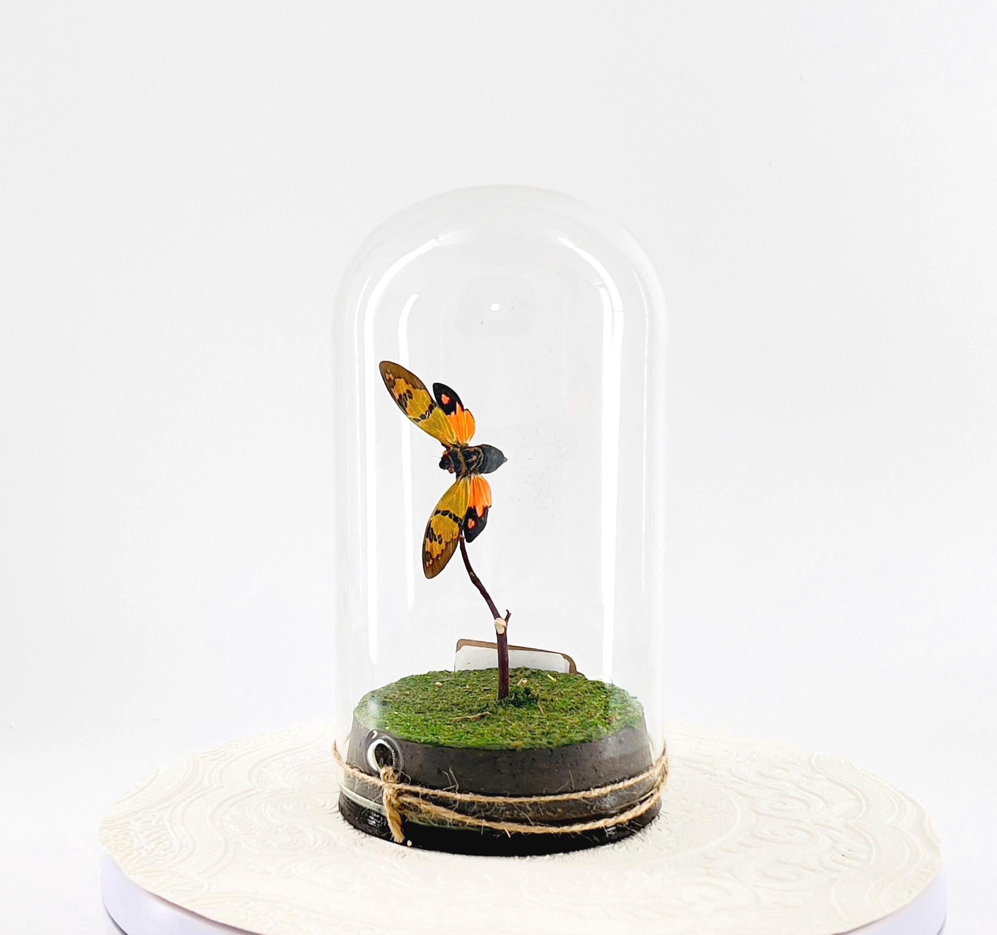 Large Pendant | Orange Cicada | Flutter by Katie | Butterfly Sculpture Art | Handmade | Butterfly Display Home Decor | Laos