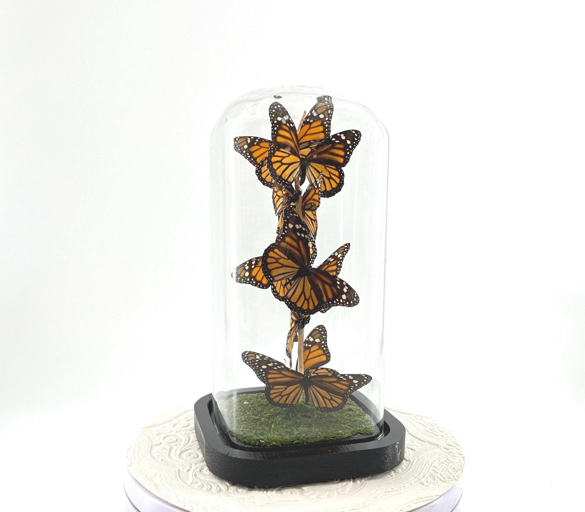 Small Centerpiece | Monarch | Orange Black | Flutter by Katie | Handmade Butterfly Sculpture Art | Taxidermy | Home Decor | North America