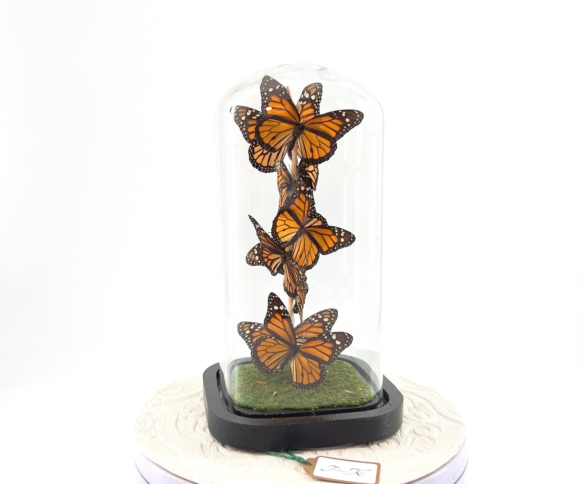 Small Centerpiece | Monarch | Orange Black | Flutter by Katie | Handmade Butterfly Sculpture Art | Taxidermy | Home Decor | North America