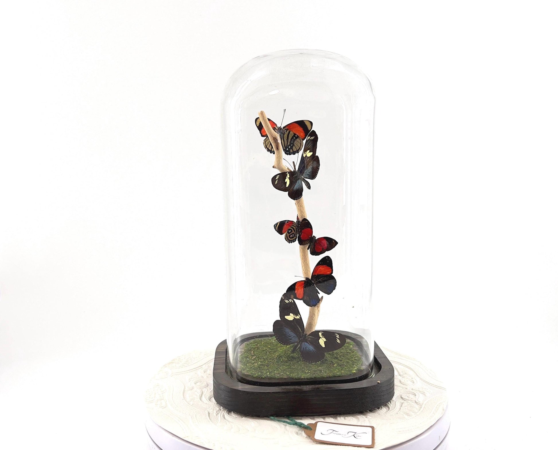 Small Centerpiece | Numberwing | Red Blue Yellow | Flutter by Katie | Handmade Butterfly Sculpture Art | Decor | Central and South America
