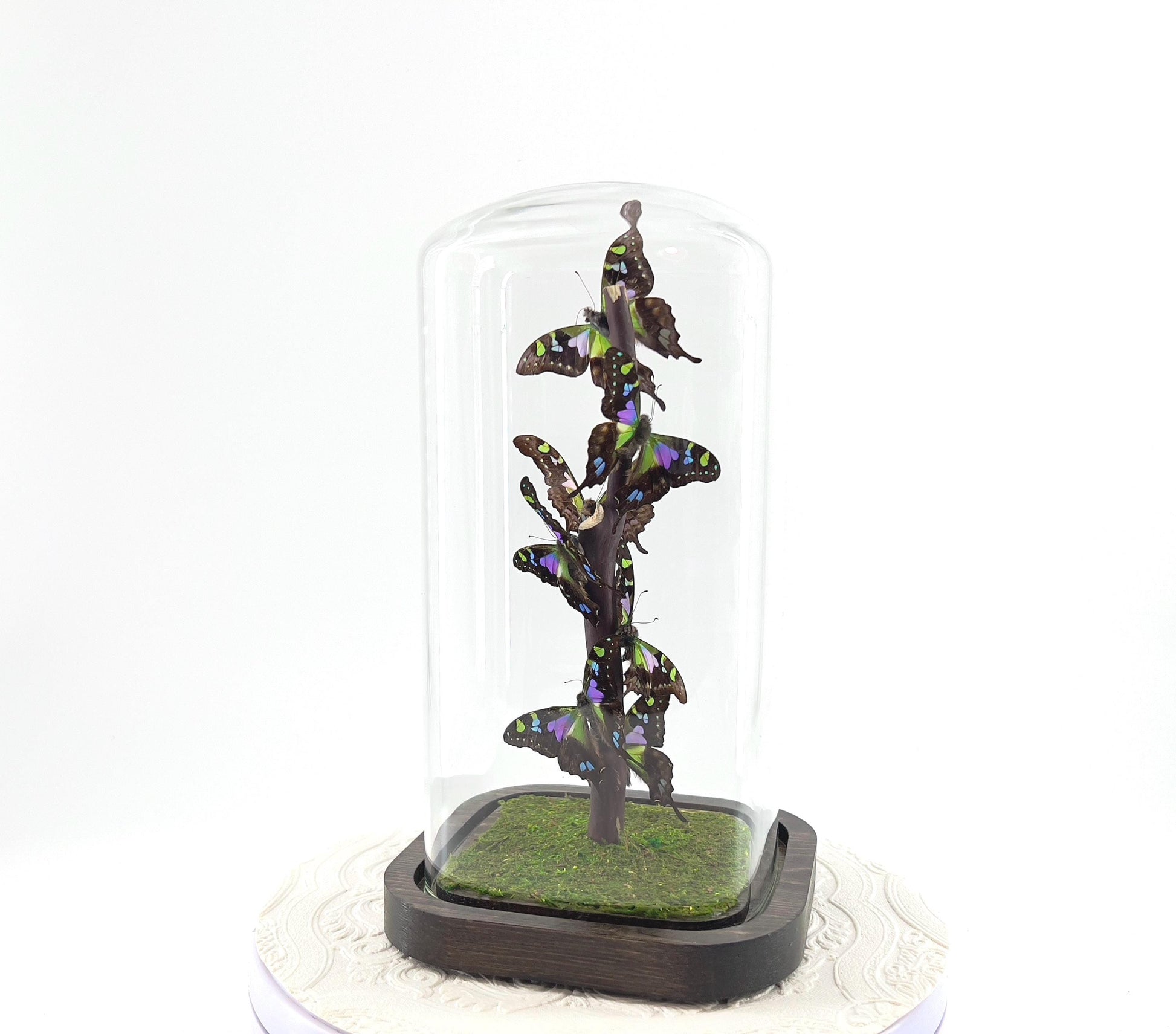 Small Centerpiece | Purple Spotted Swallowtail | Purple Green | Flutter by Katie | Handmade Butterfly Sculpture Art | Home Decor | Indonesia