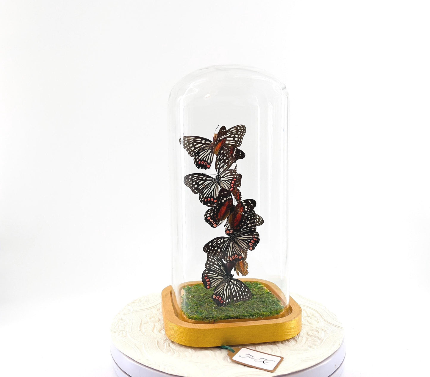 Small Centerpiece | Scarlet Peacock Red Ring Skirt | Flutter by Katie | Handmade Butterfly Sculpture Art | Home Decor |South America | China