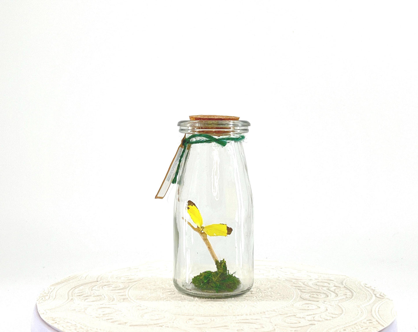Accent | Centerpiece | Common Grass Yellow | Pale Yellow | Flutter by Katie | Handmade Butterfly Sculpture Art | Home Decor| Australia