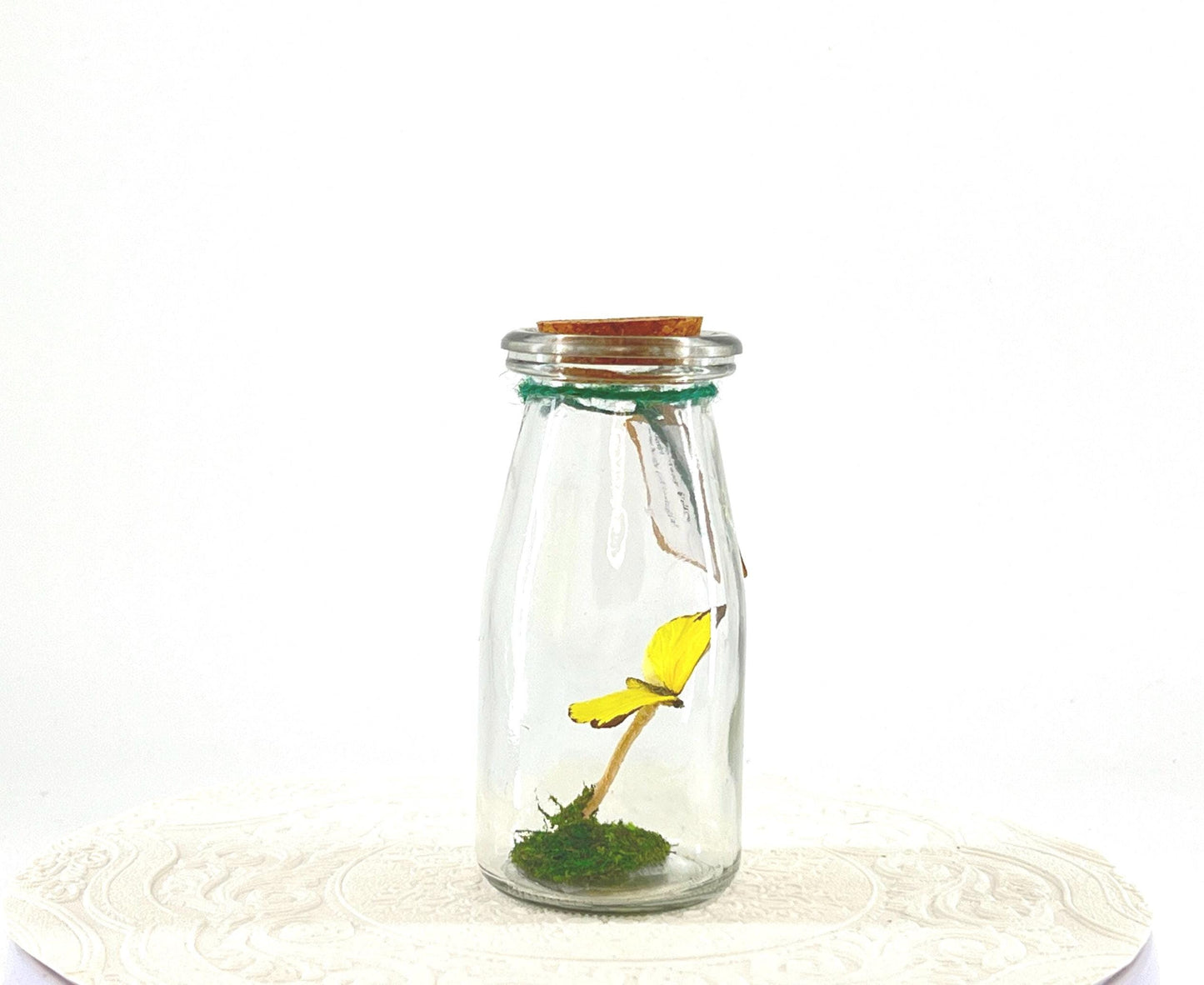 Accent | Centerpiece | Common Grass Yellow | Pale Yellow | Flutter by Katie | Handmade Butterfly Sculpture Art | Home Decor| Australia
