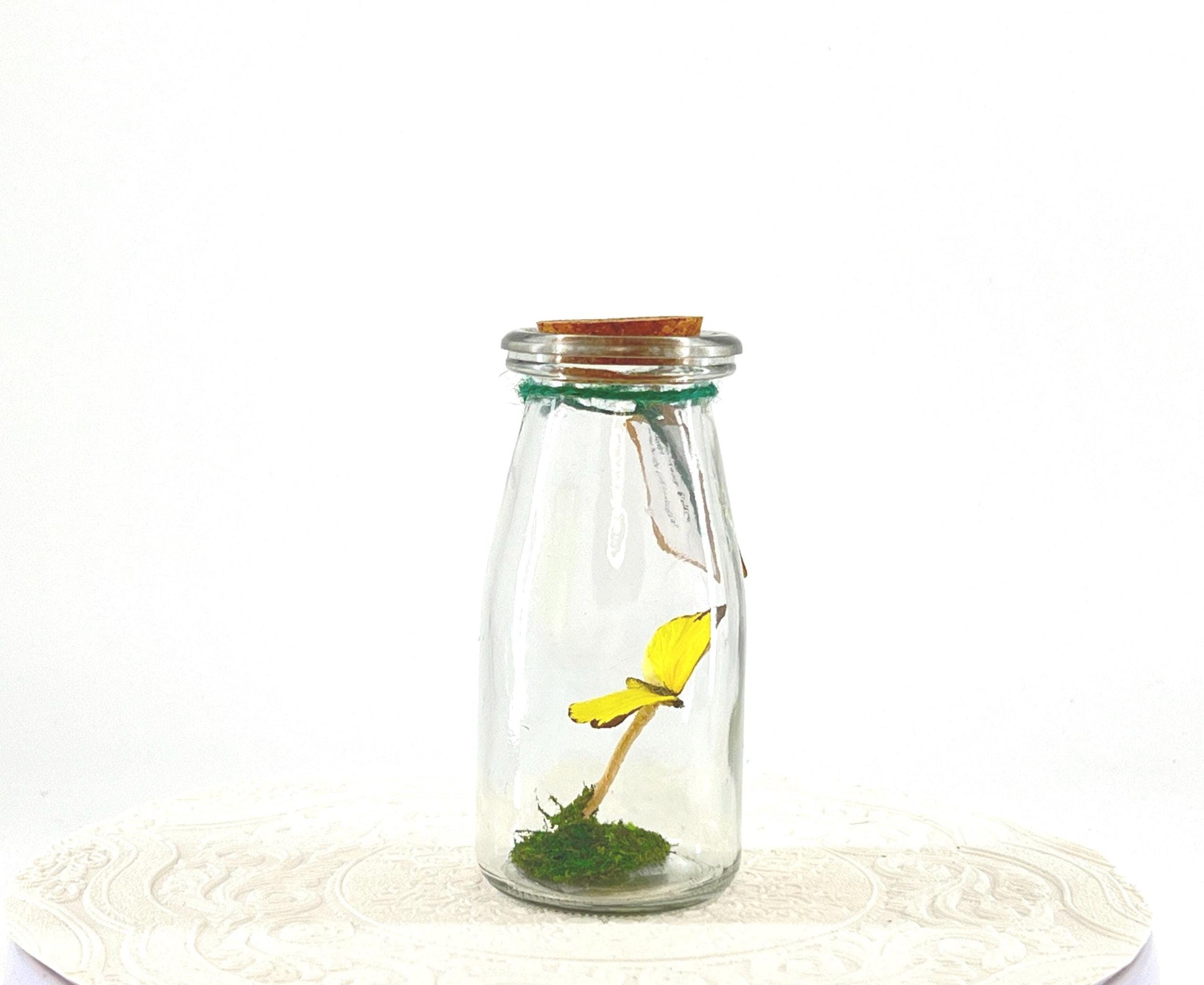 Accent | Centerpiece | Common Grass Yellow | Pale Yellow | Flutter by Katie | Handmade Butterfly Sculpture Art | Home Decor| Australia