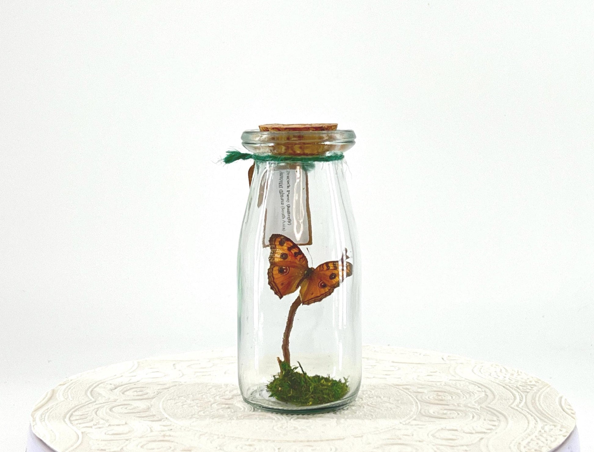 Accent | Centerpiece | Peacock Pansy | Light Brown | Flutter by Katie | Handmade Butterfly Sculpture Art | Home Decor | South Asia