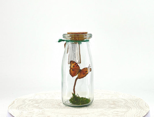 Accent | Centerpiece | Peacock Pansy | Light Brown | Flutter by Katie | Handmade Butterfly Sculpture Art | Home Decor | South Asia