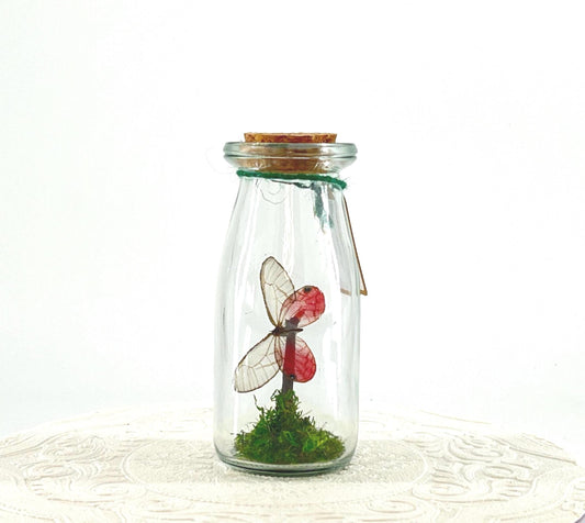 Accent | Centerpiece | Pink Glasswing | Translucent | Flutter by Katie | Handmade Butterfly Sculpture Art | Home Decor | Peru, South America