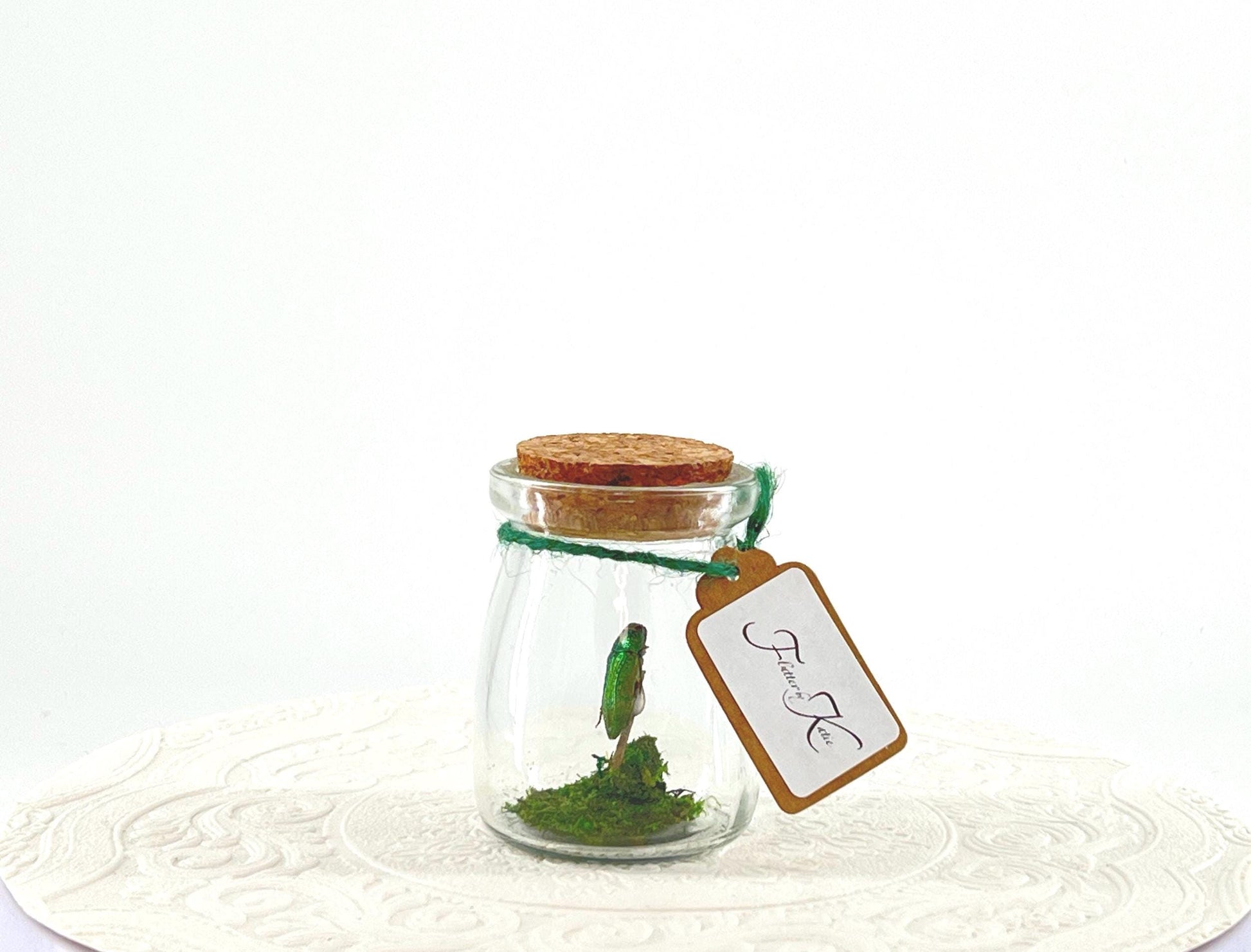 Mini Centerpiece Golden Buprestid Beetle | Iridescent Green | Flutter by Katie | Handmade Butterfly Sculpture Art | Home Decor | Guatemala