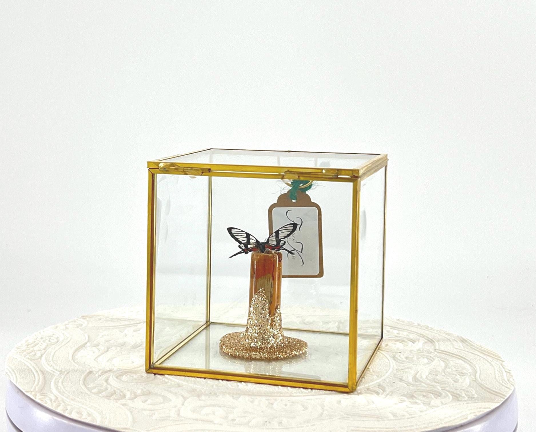The Cube | Centerpiece | Invisible Angel | Black Transparent | Flutter by Katie | Handmade Butterfly Sculpture Art | Home Decor | Brazil