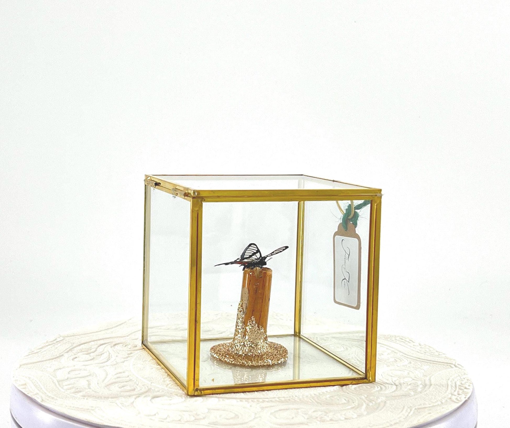 The Cube | Centerpiece | Invisible Angel | Black Transparent | Flutter by Katie | Handmade Butterfly Sculpture Art | Home Decor | Brazil