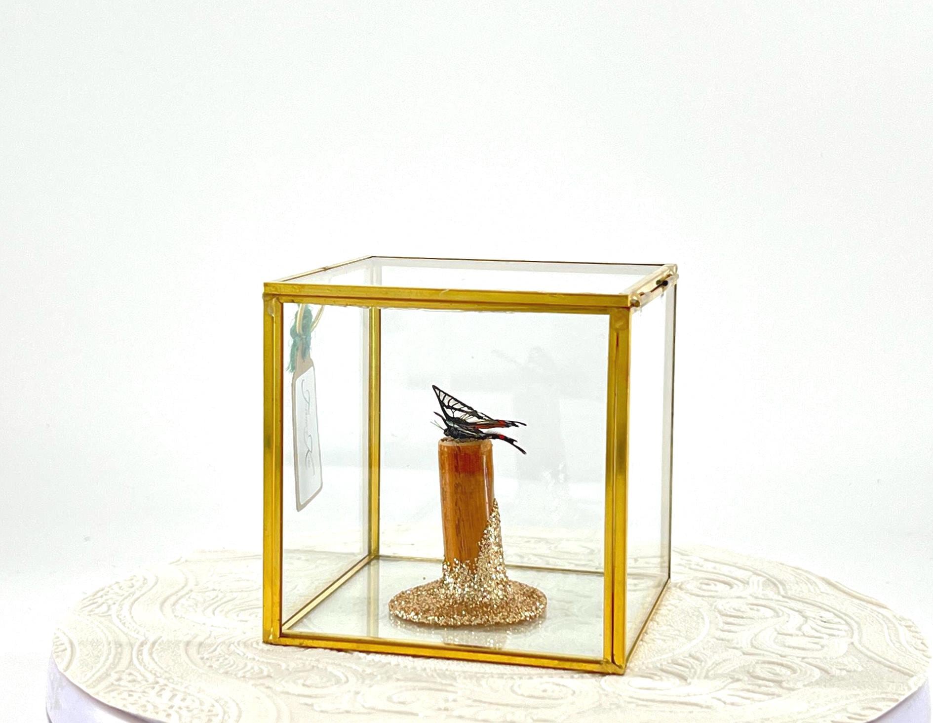 The Cube | Centerpiece | Invisible Angel | Black Transparent | Flutter by Katie | Handmade Butterfly Sculpture Art | Home Decor | Brazil