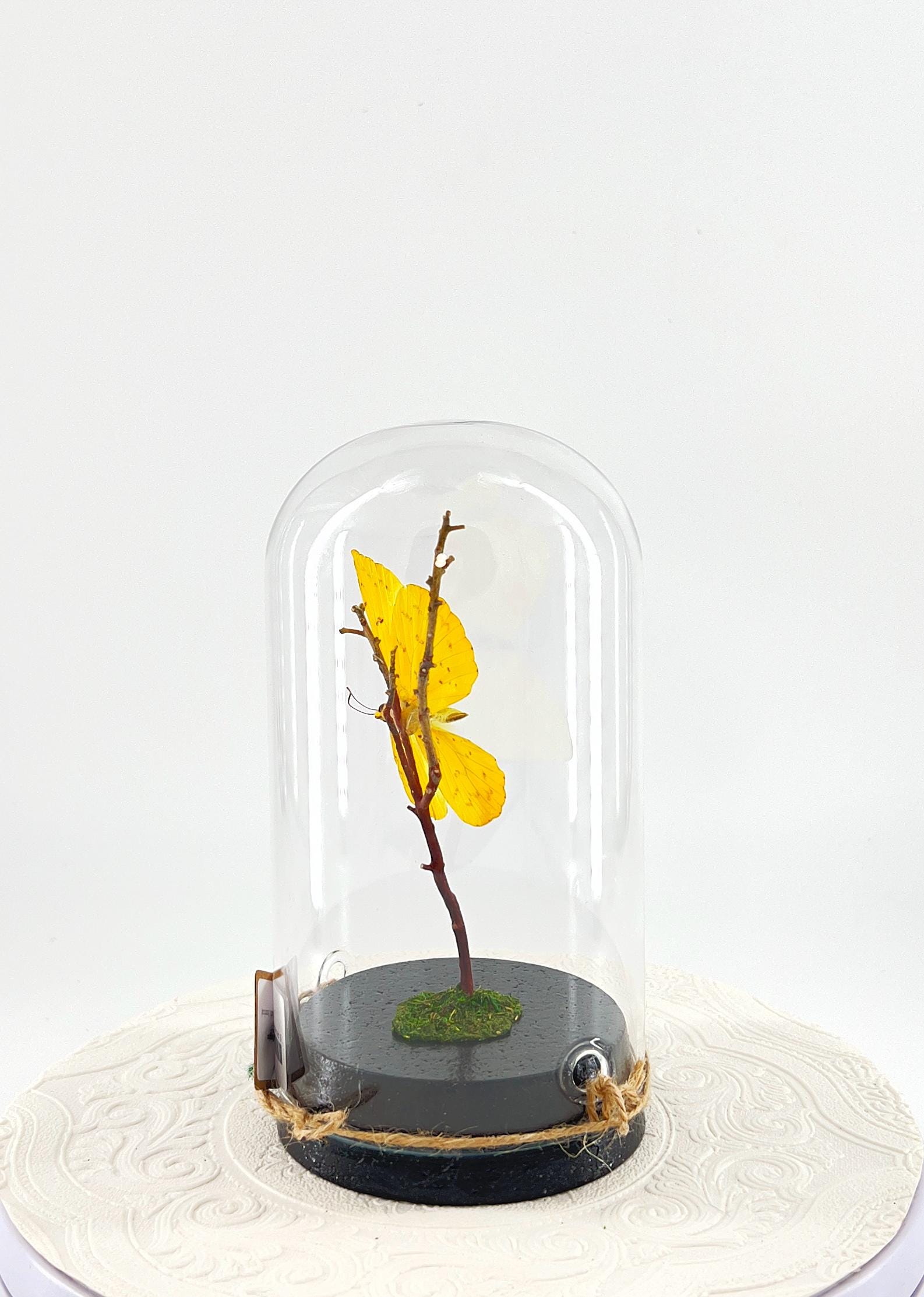 Large Pendant | Orange-barred Sulphur | Yellow | Flutter by Katie | Handmade Butterfly Sculpture Art | Home Decor | North America