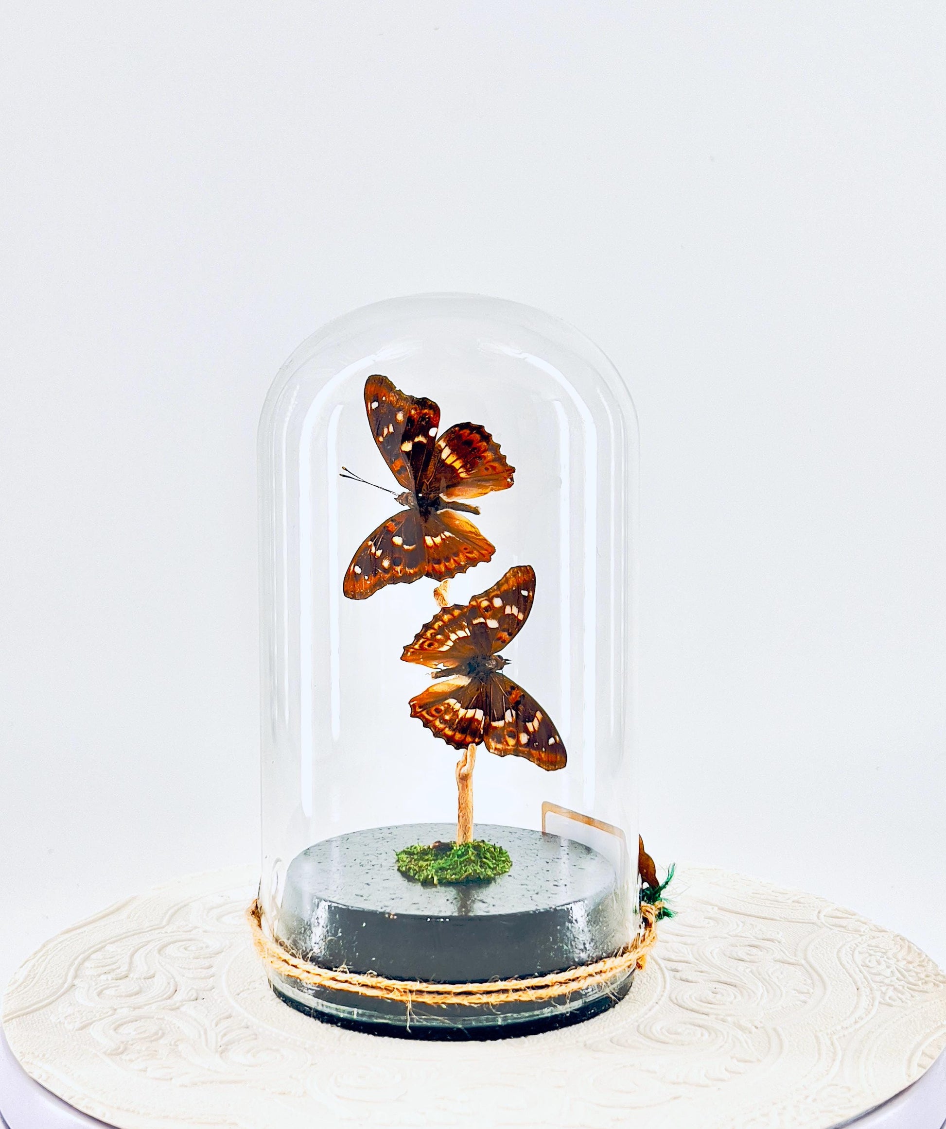 Large Pendant | Lesser Purple Emperor | Purple Brown Iridescence | Flutter by Katie | Handmade Butterfly Sculpture Art | Home Decor | China