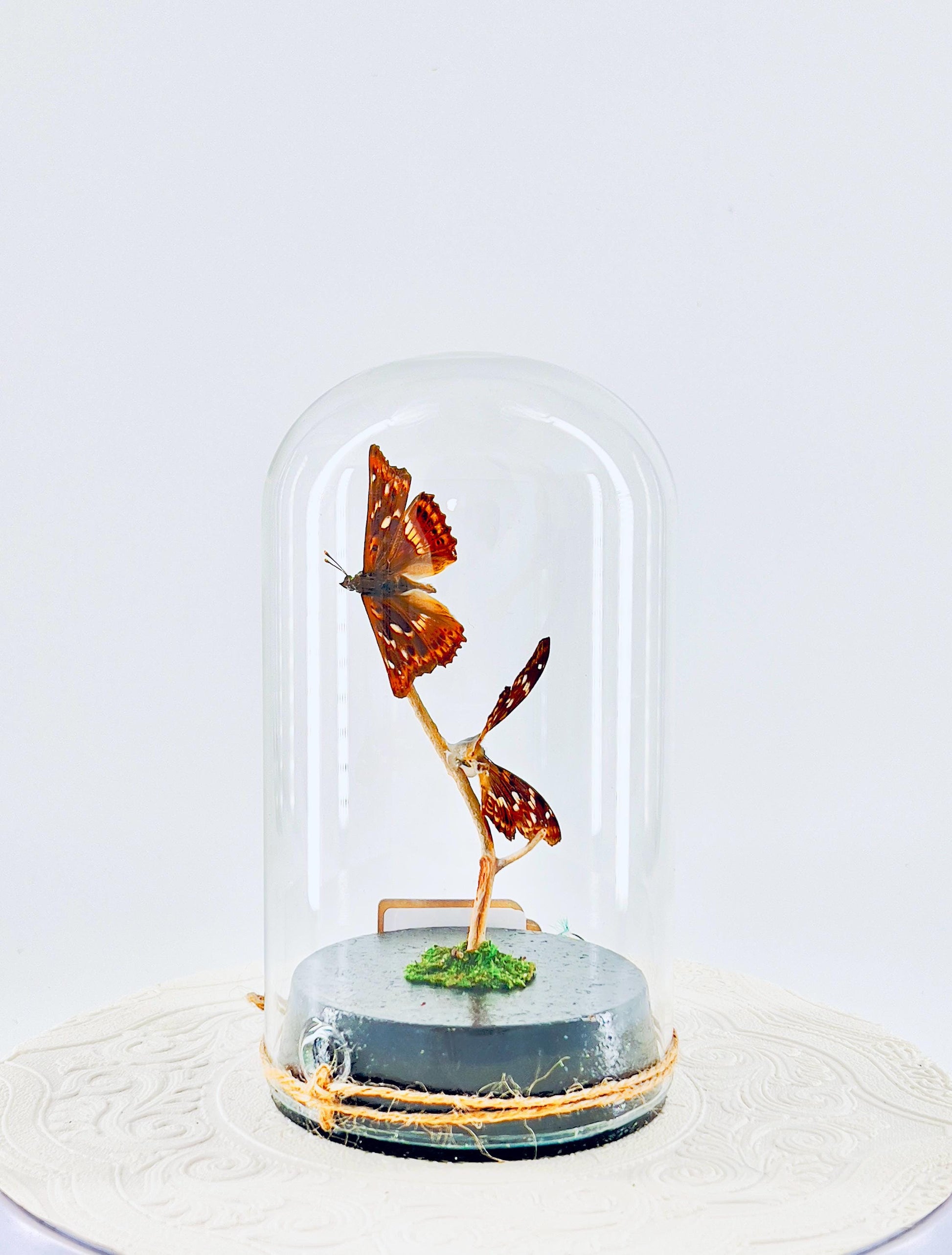 Large Pendant | Lesser Purple Emperor | Purple Brown Iridescence | Flutter by Katie | Handmade Butterfly Sculpture Art | Home Decor | China