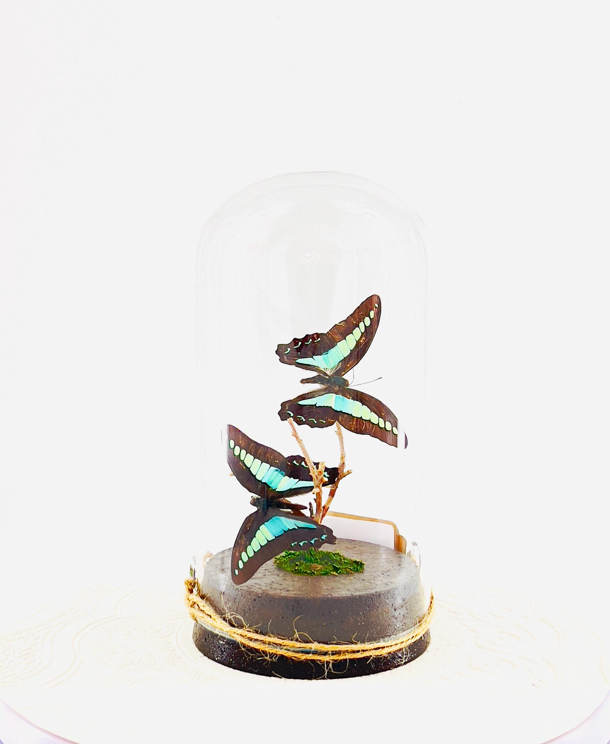 Large Pendant | Blue Triangle | Light Blue | Flutter by Katie | Handmade Butterfly Sculpture Art | Home Decor | Philippines